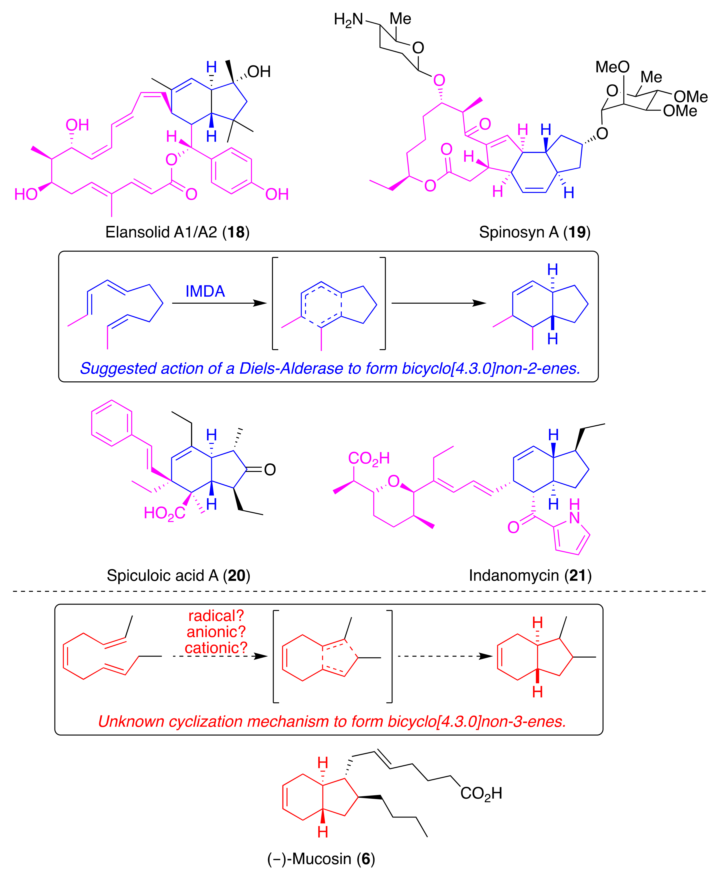 Molecules 24 04147 sch004 Molecules 24 04147 sch004