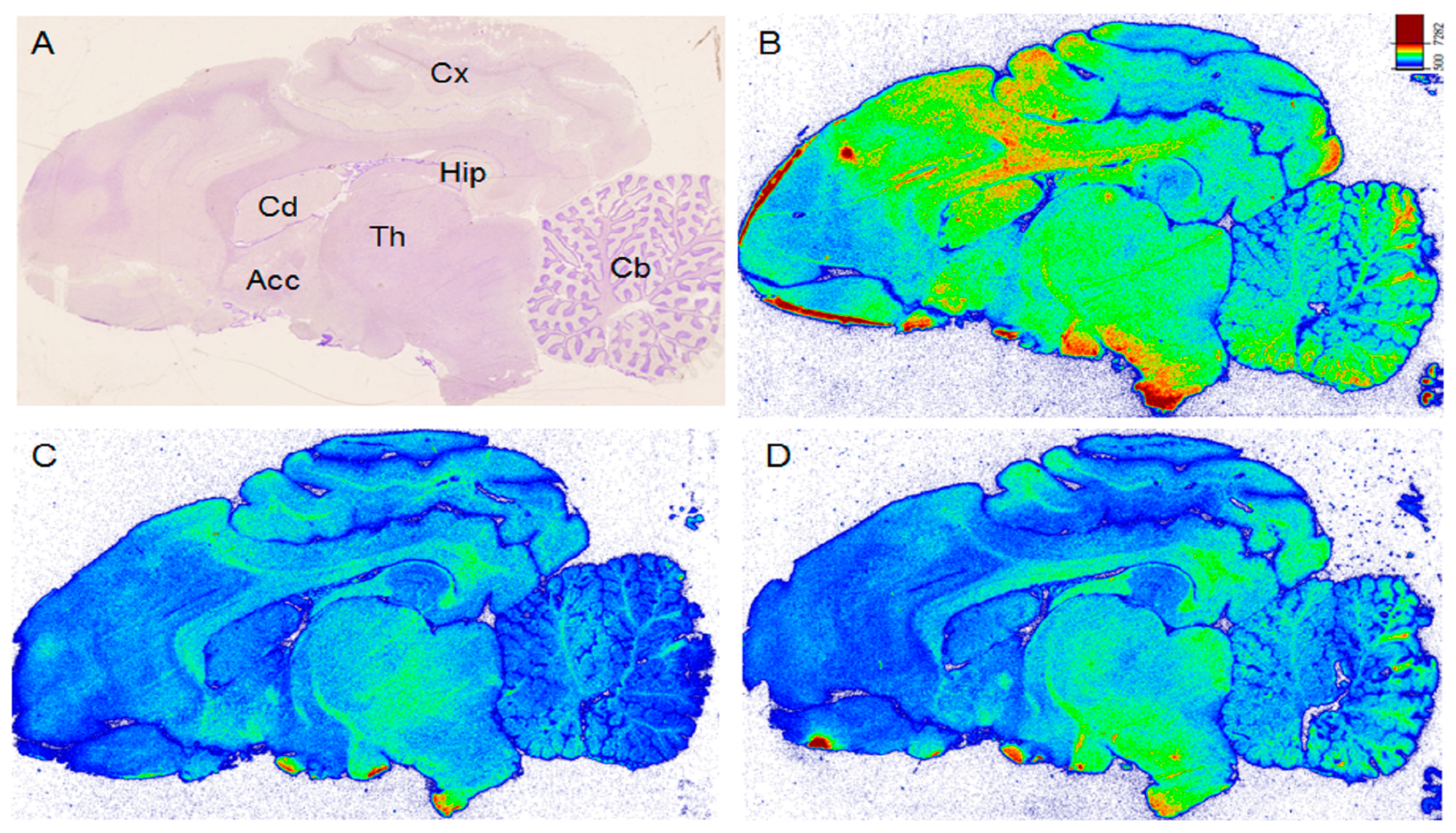 Molecules 24 04149 g004