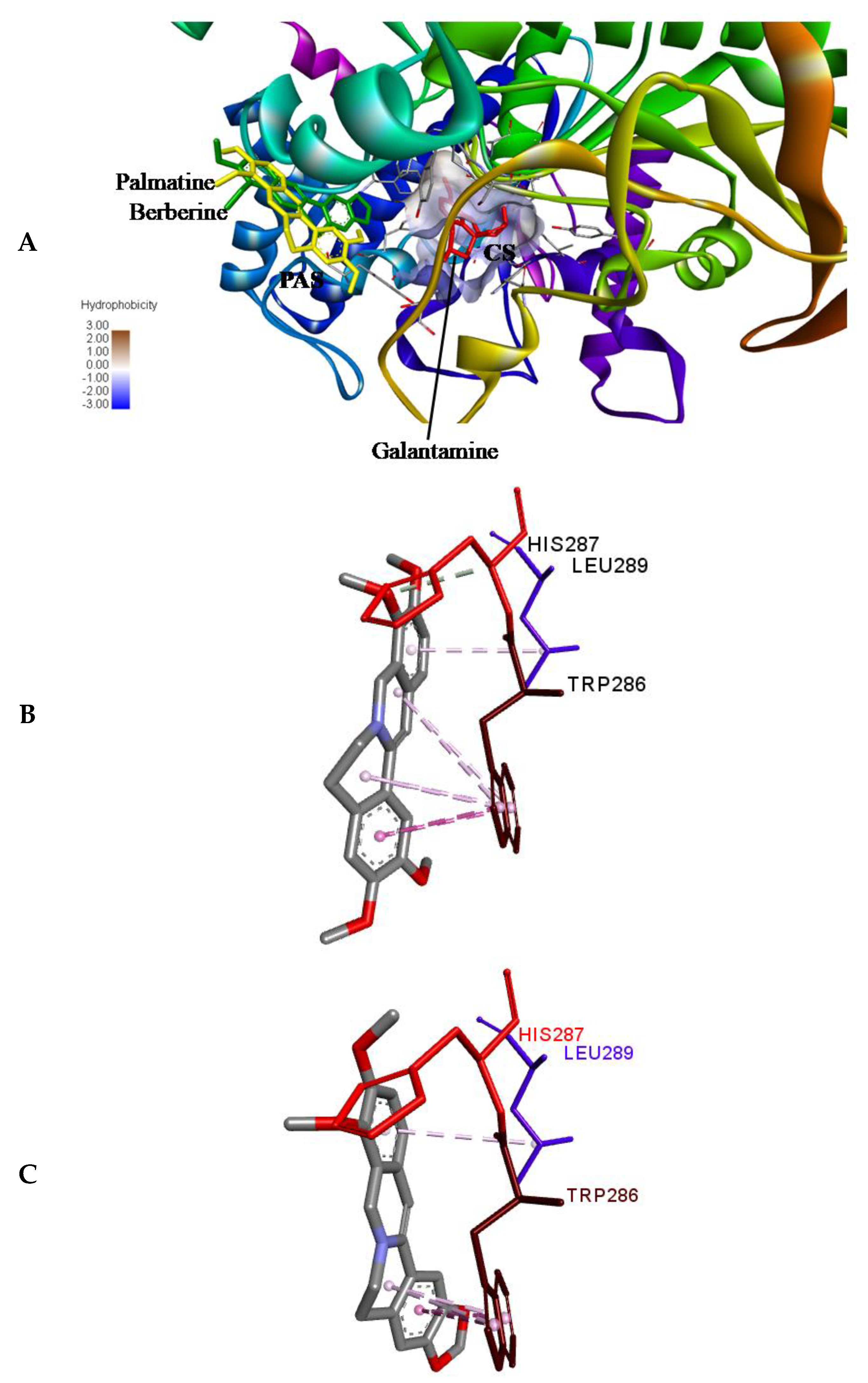 Molecules 24 04175 g006
