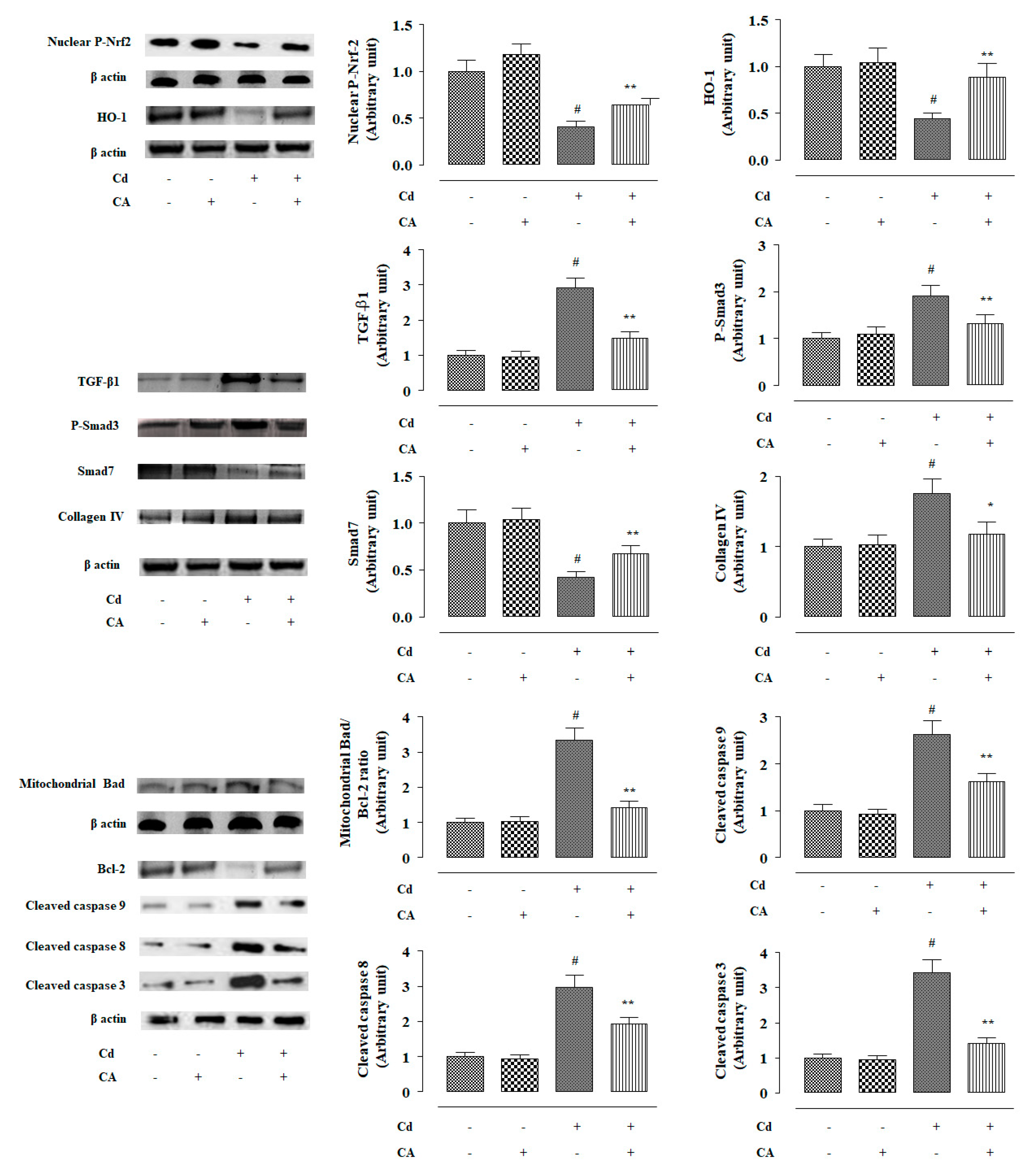 Molecules 24 04176 g003
