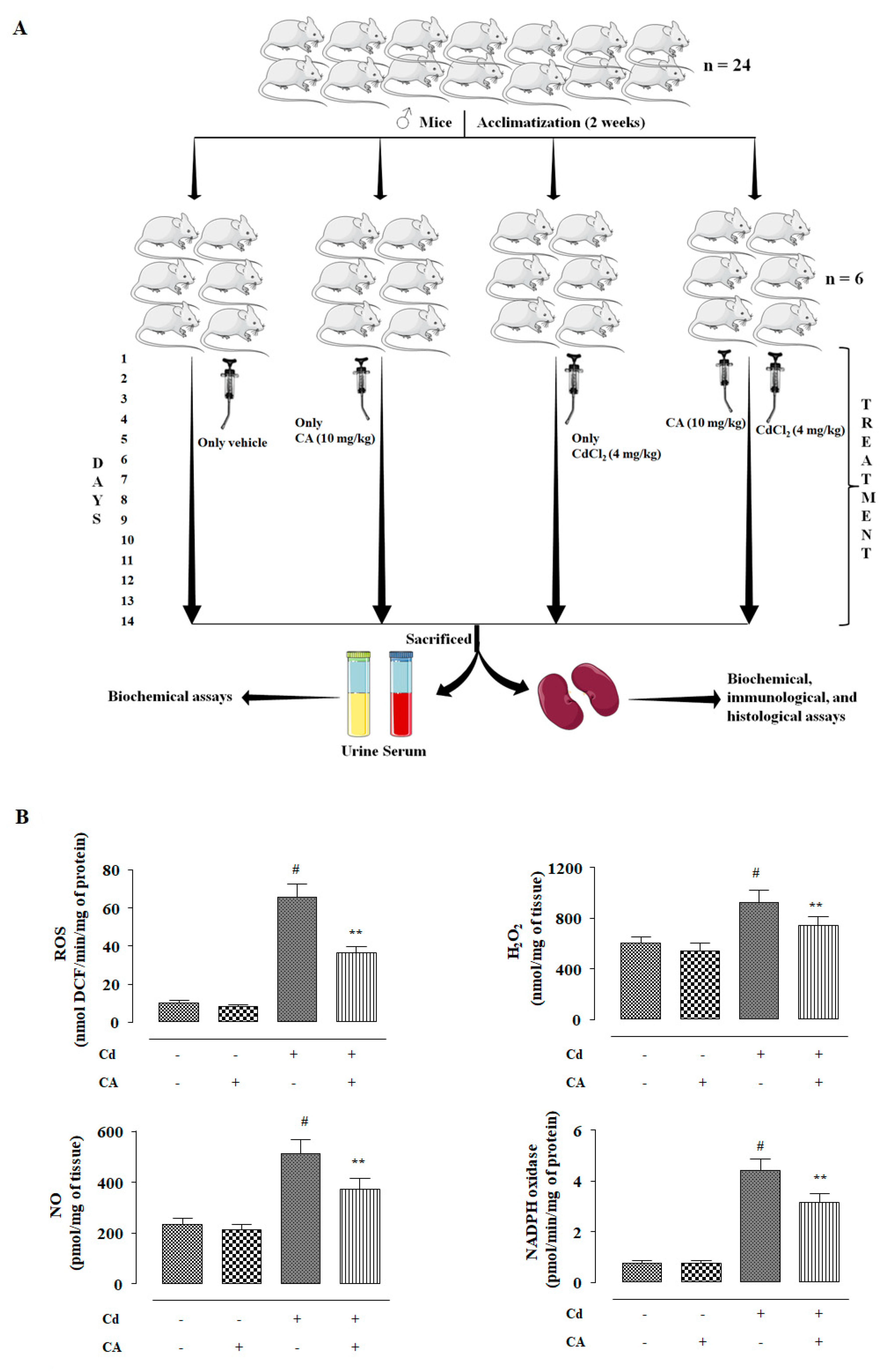 Molecules 24 04176 g005a