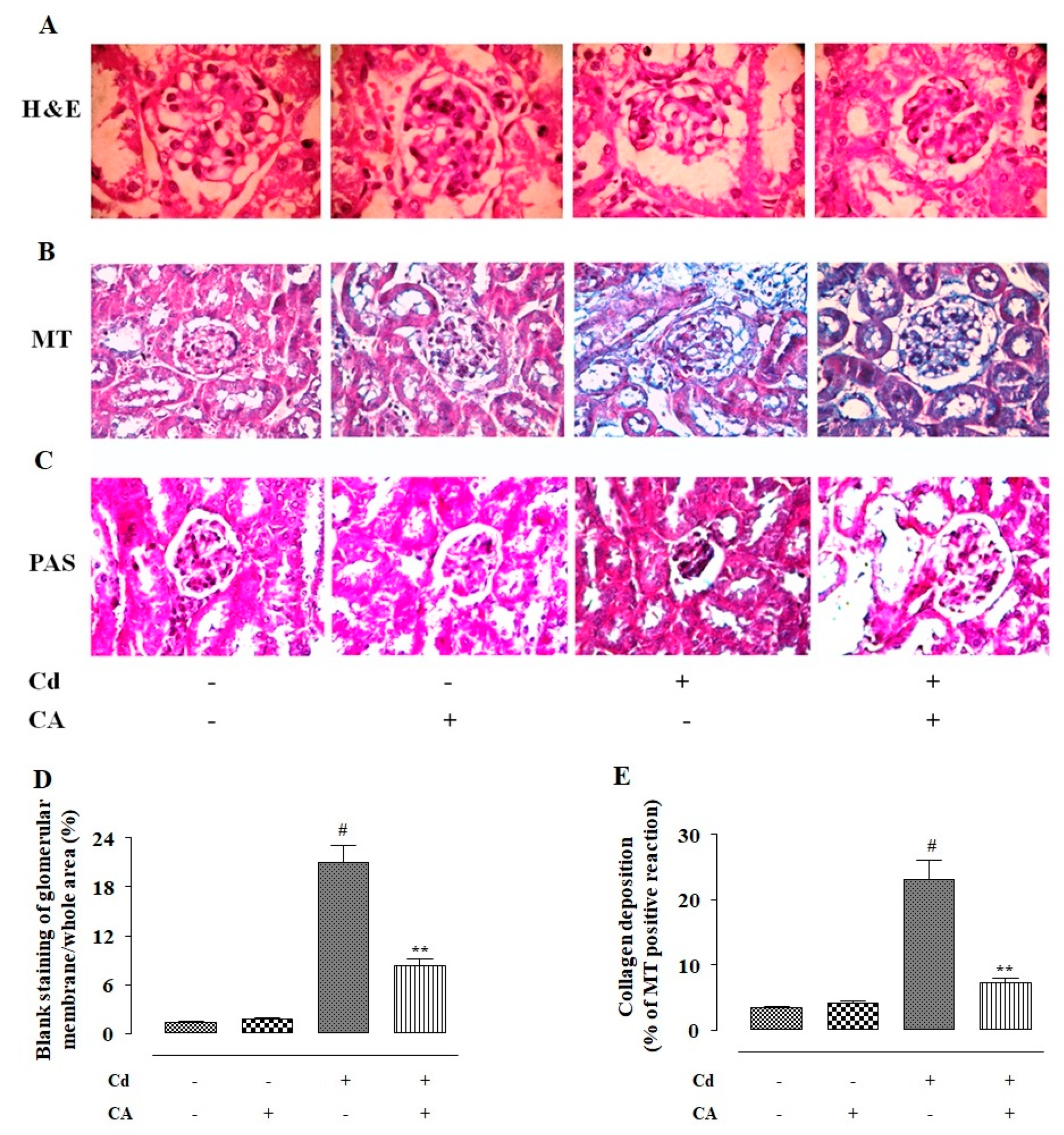Molecules 24 04176 g009