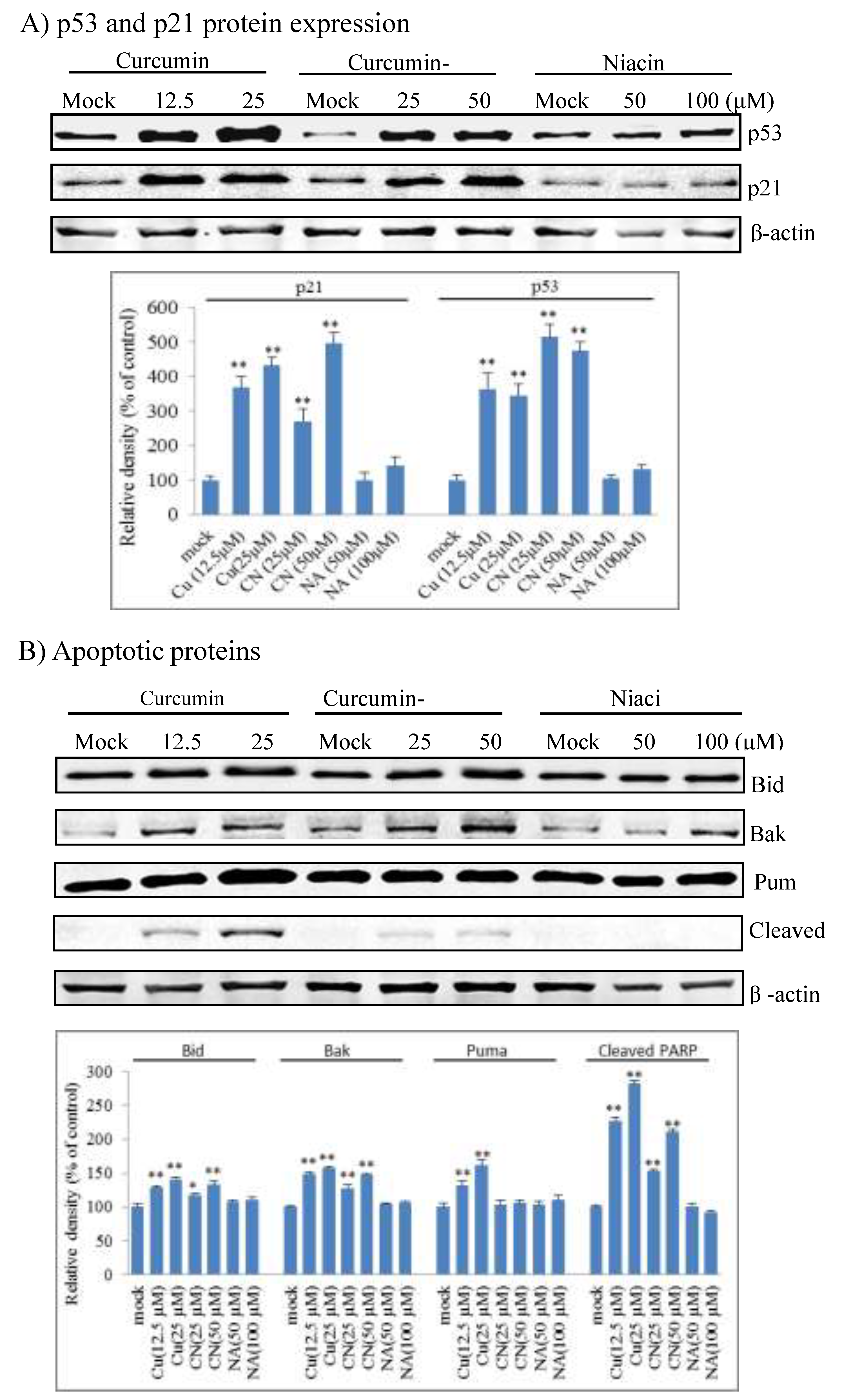 Molecules 24 04179 g005 Molecules 24 04179 g005