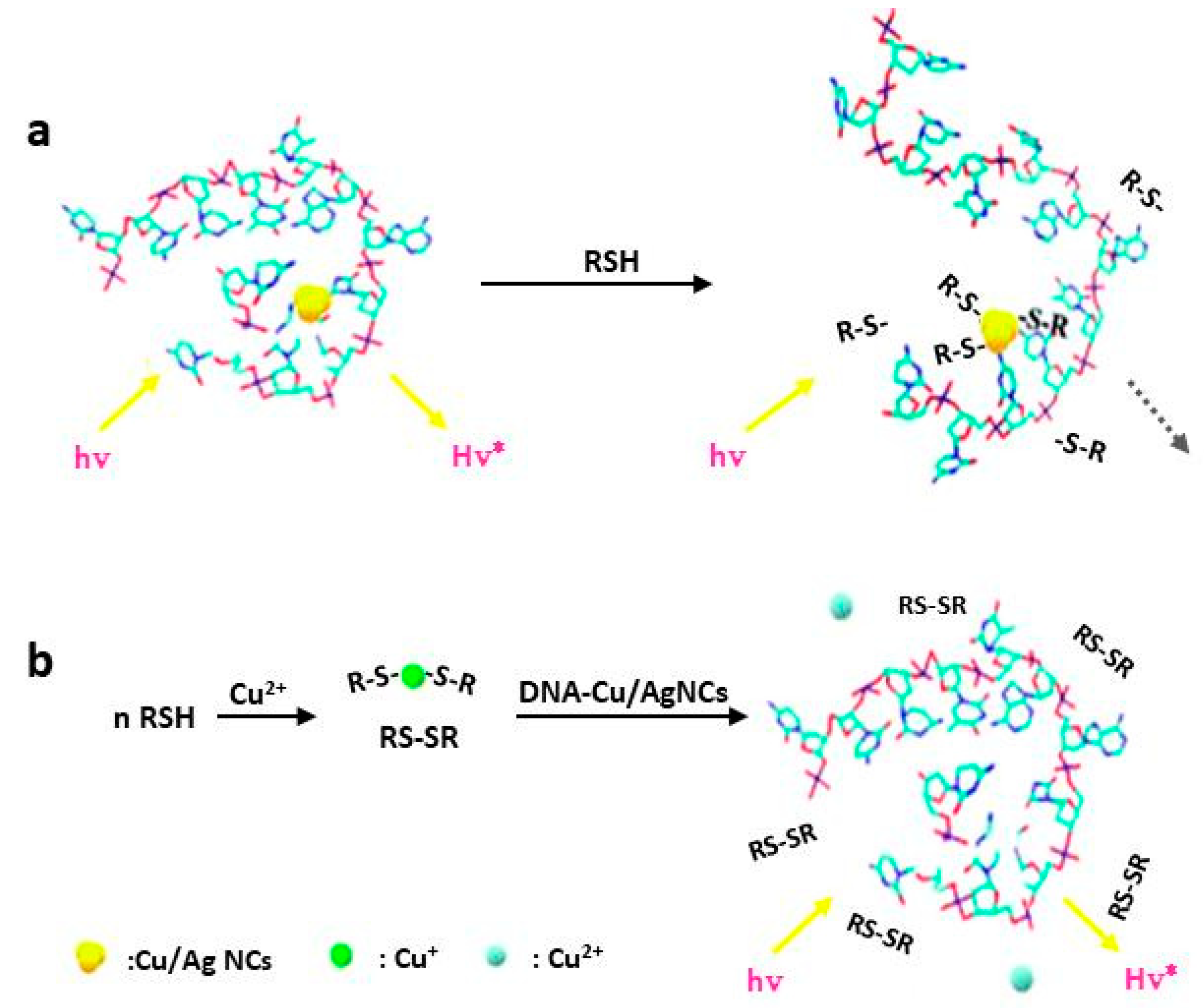 Molecules 24 04189 g004