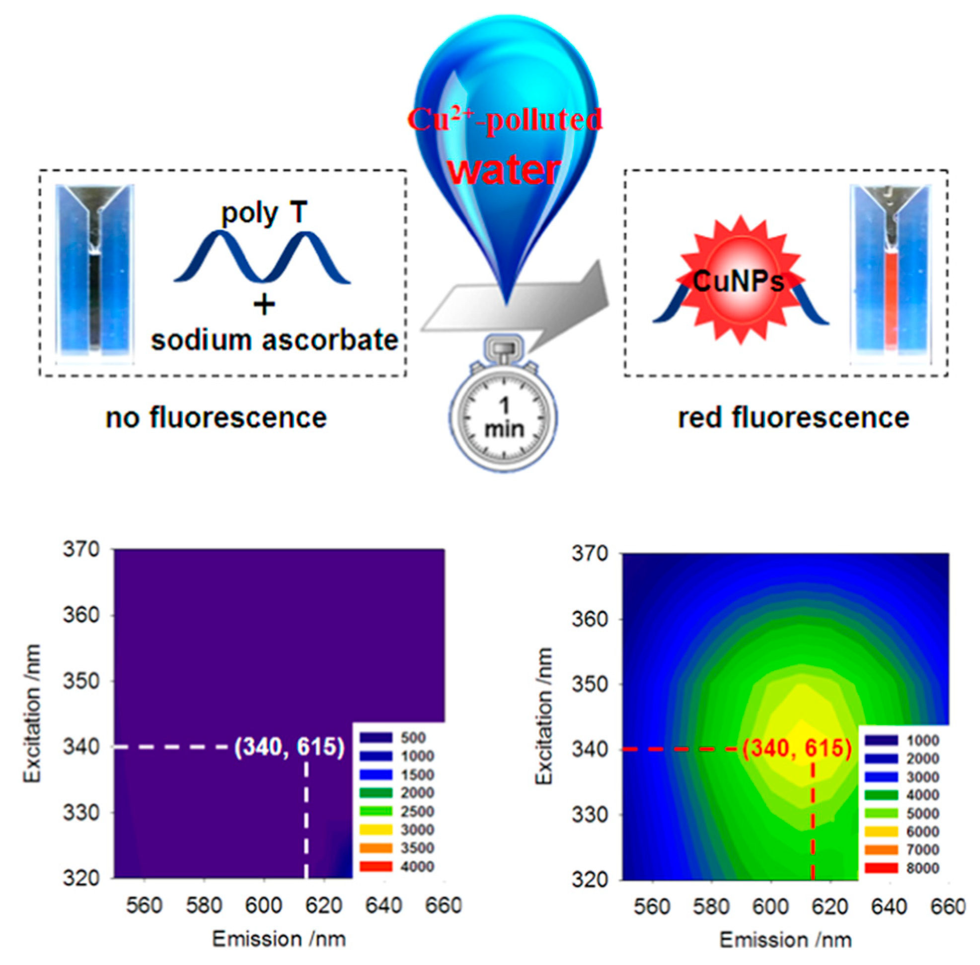 Molecules 24 04189 g005