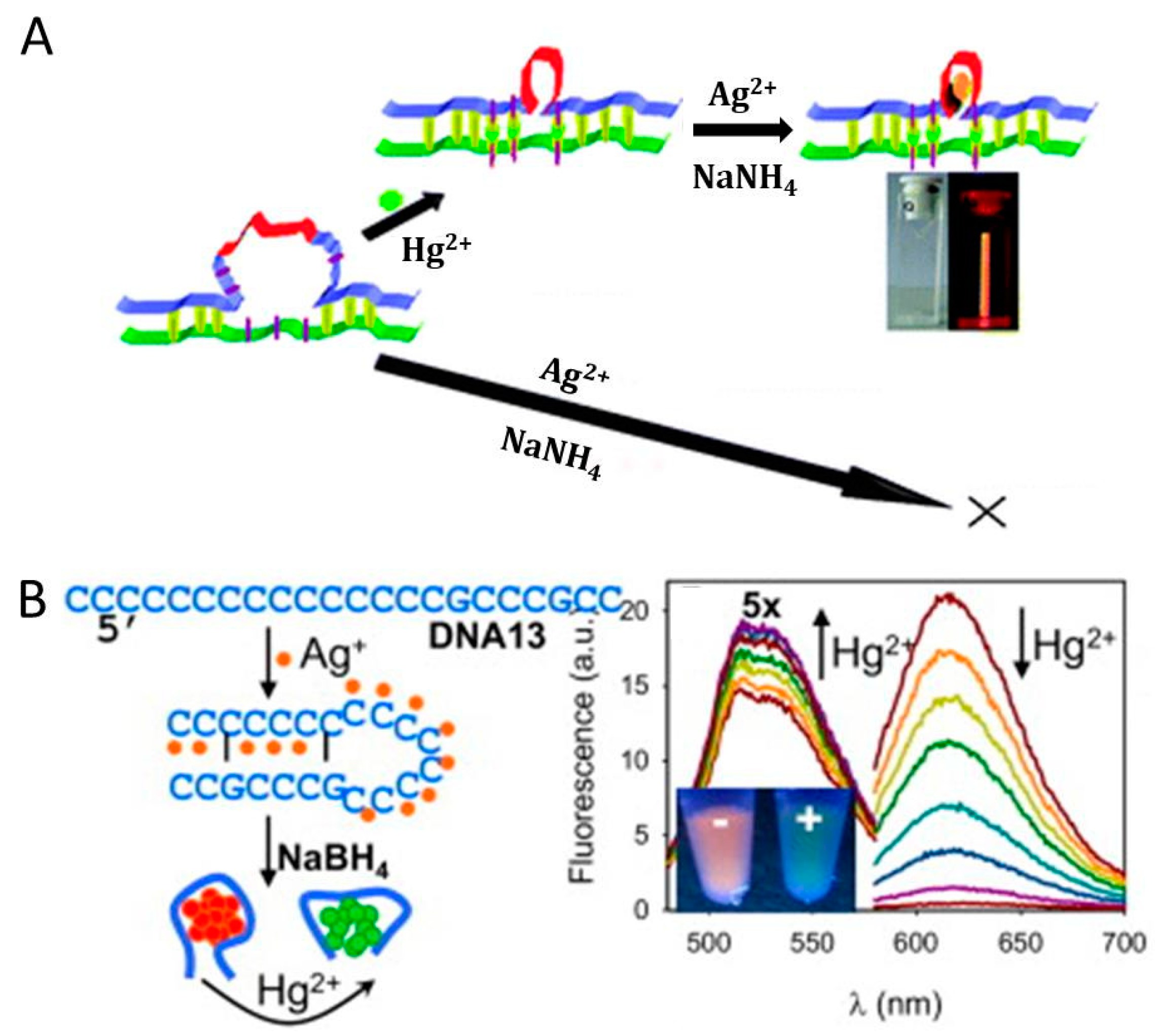 Molecules 24 04189 g006