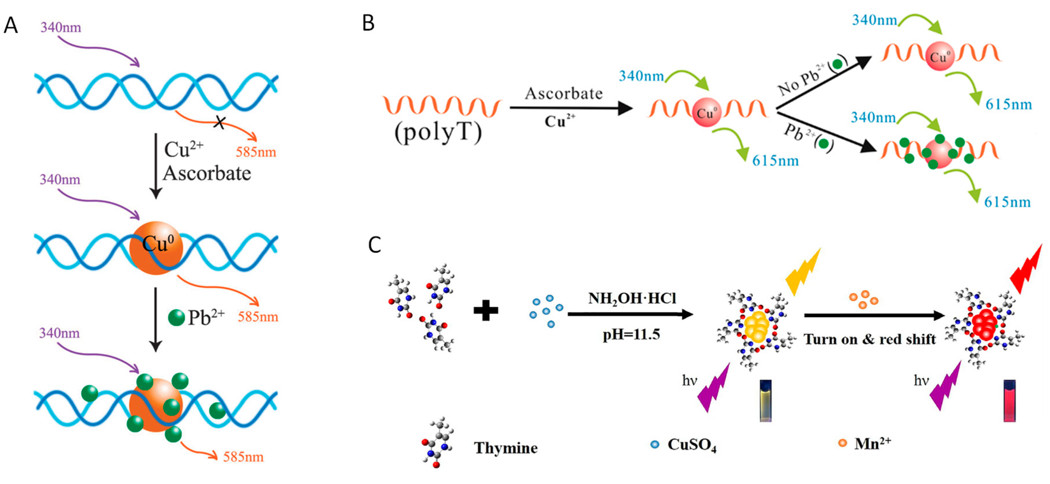 Molecules 24 04189 g008
