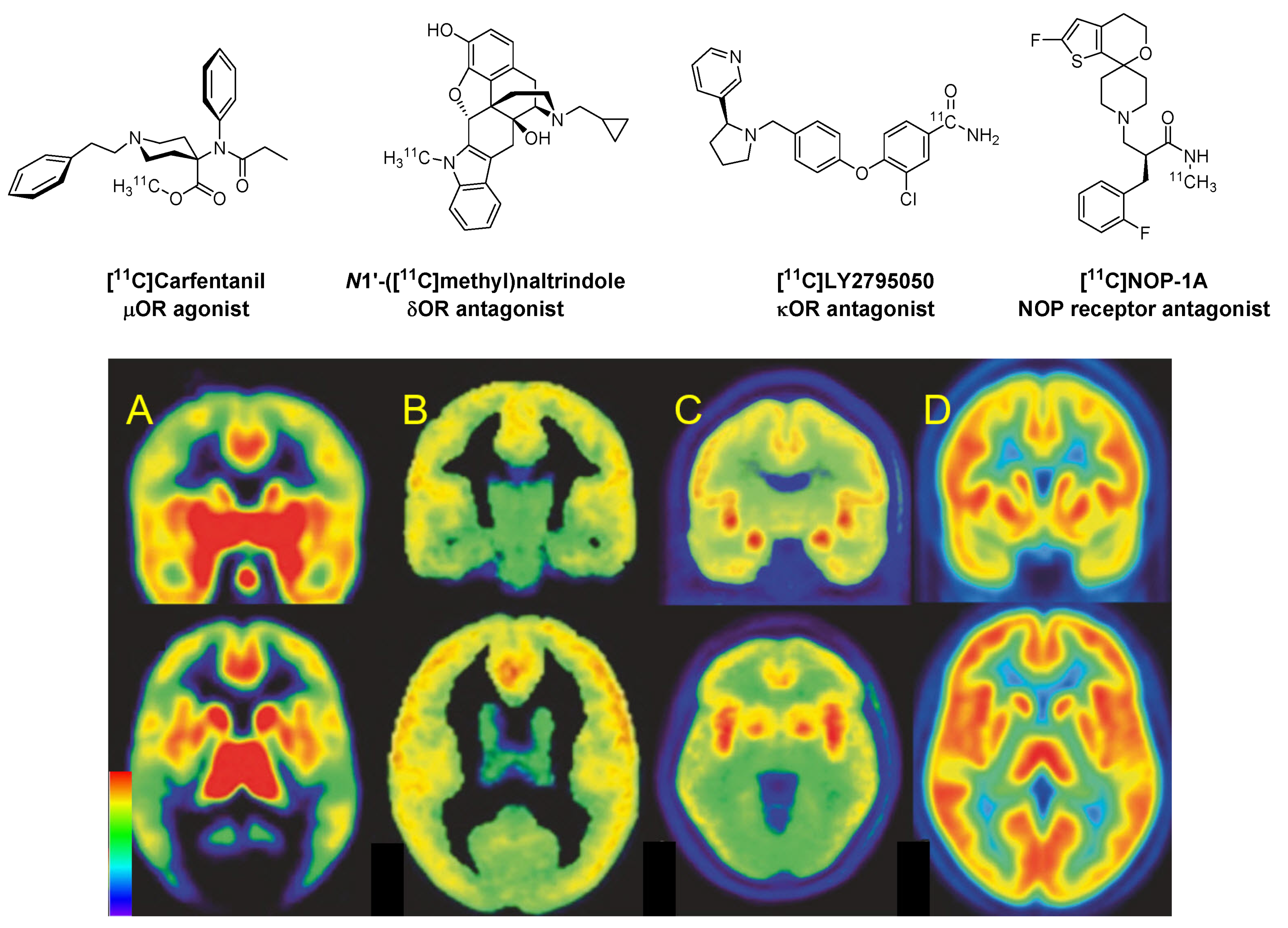 Molecules 24 04190 g002