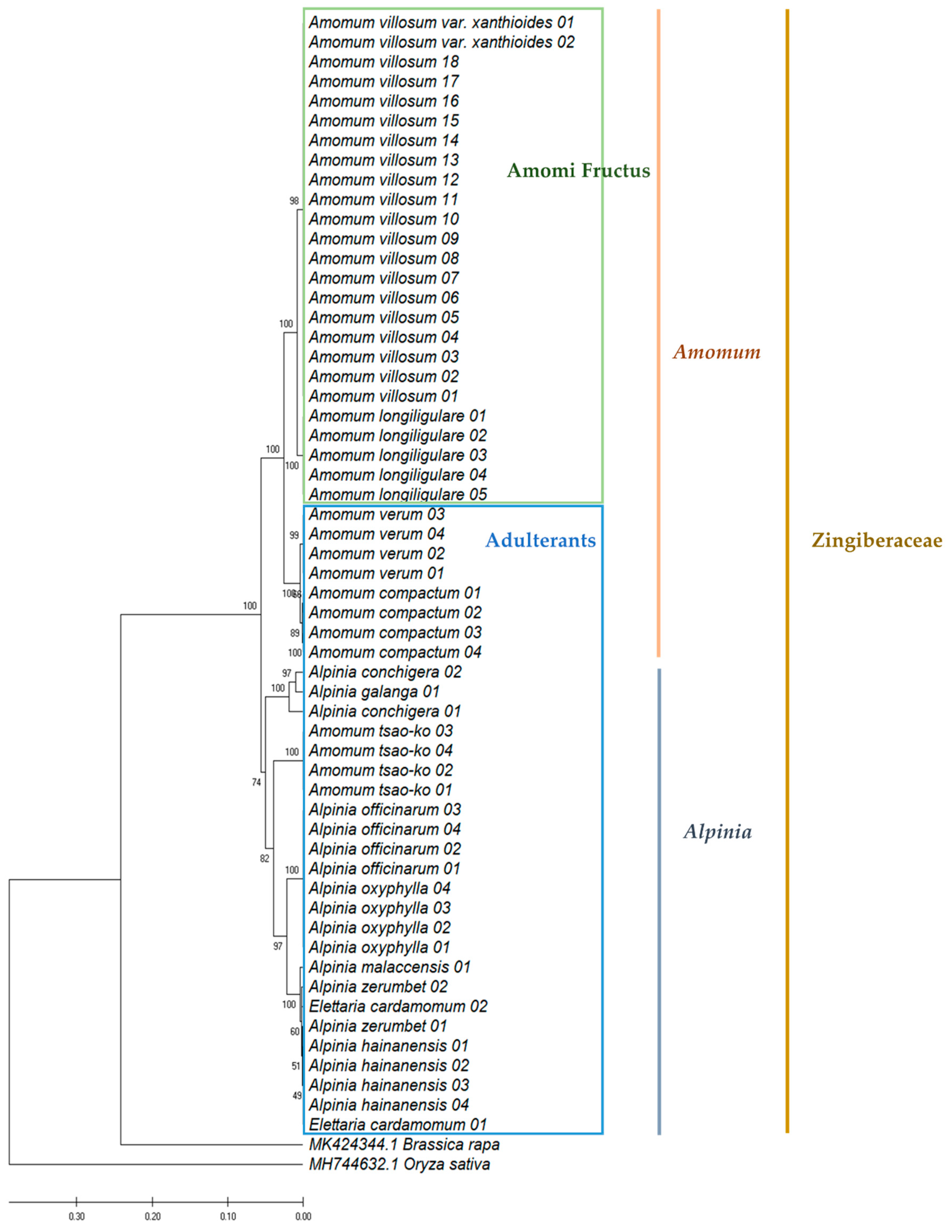 Molecules 24 04193 g002