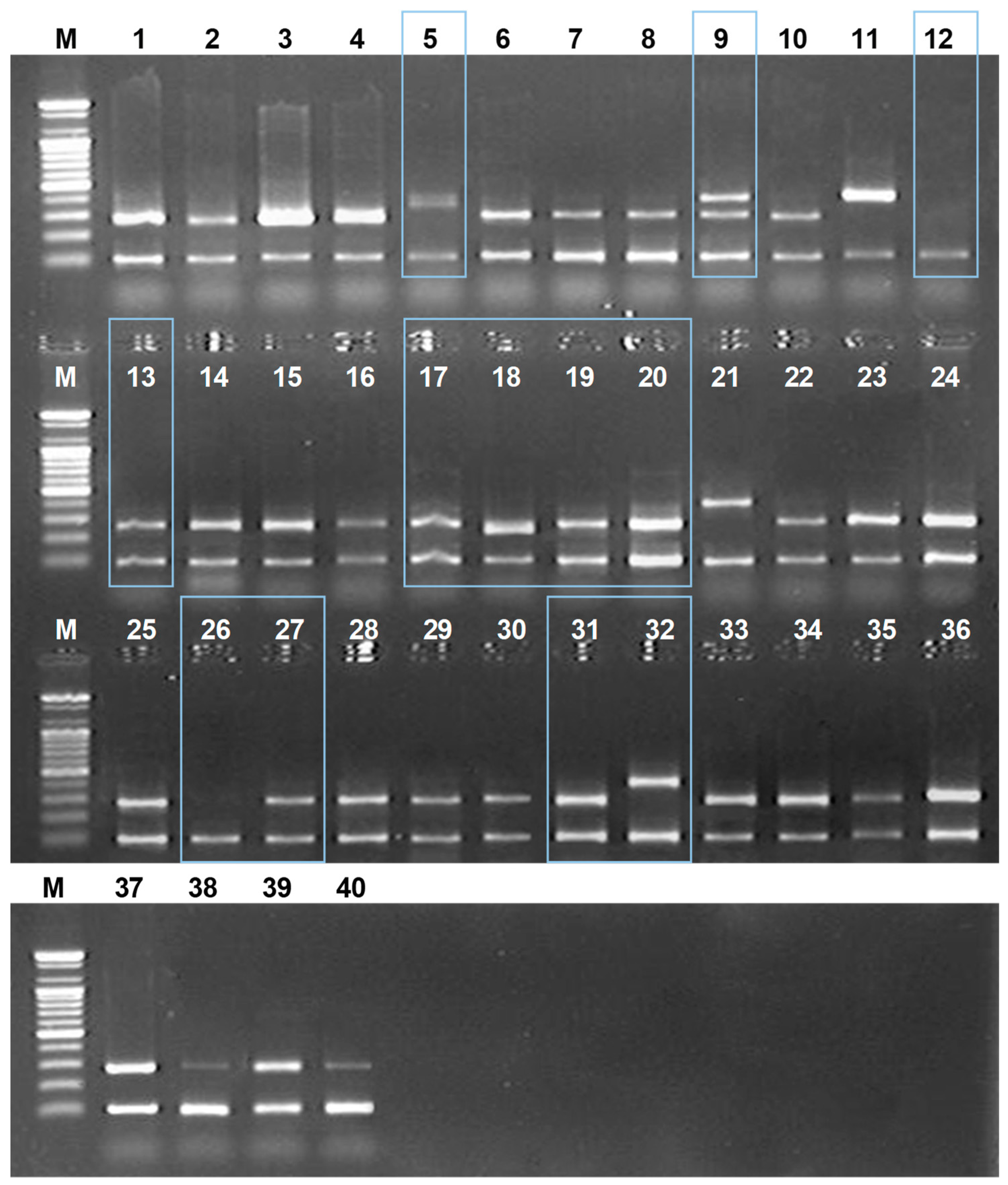 Molecules 24 04193 g004