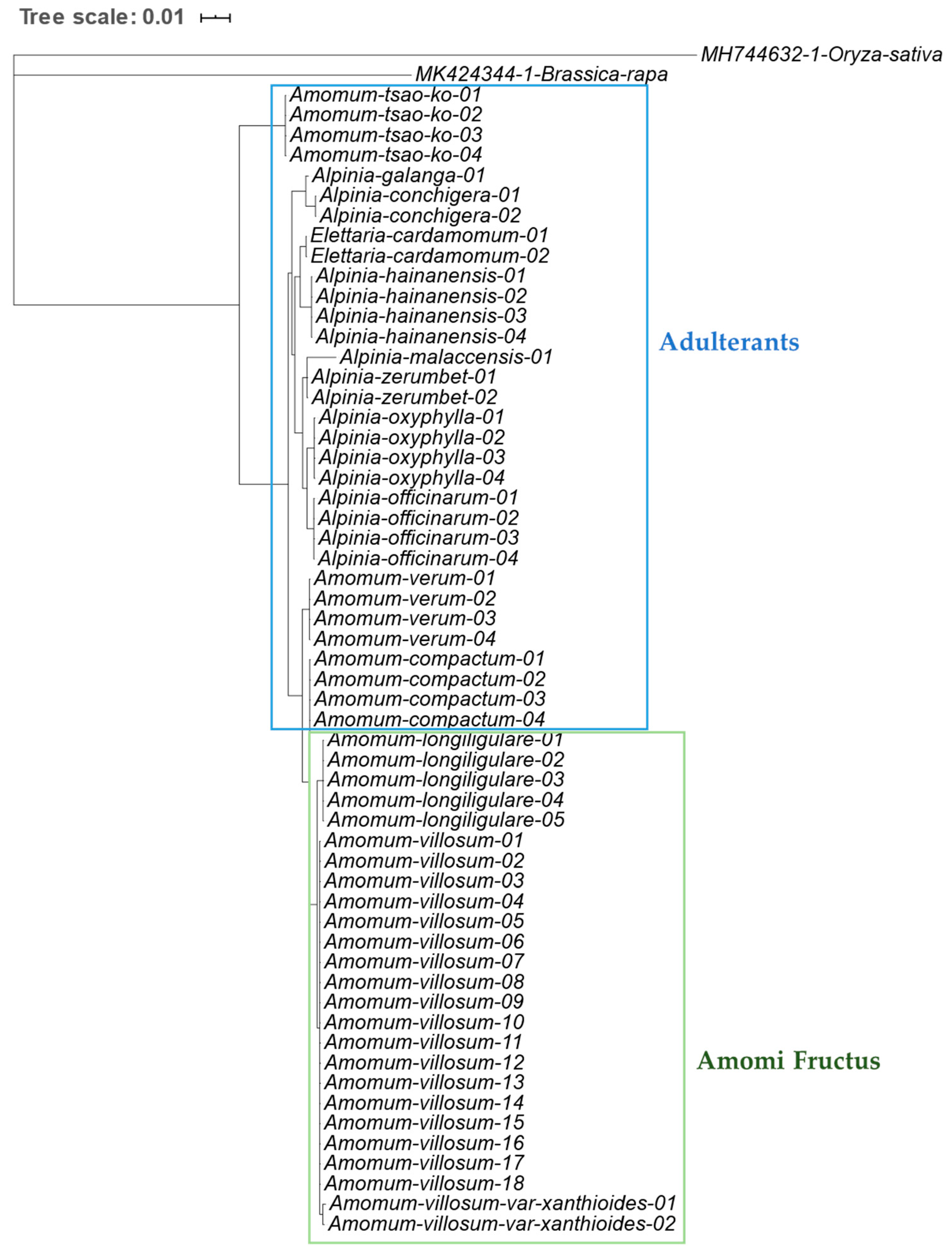 Molecules 24 04193 g005