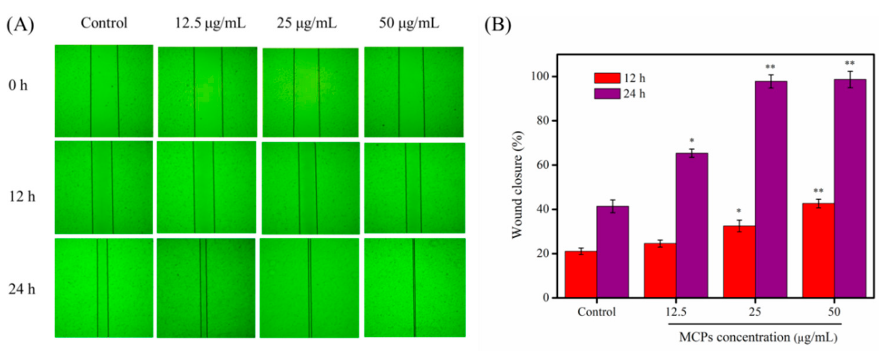 Molecules 24 04201 g005
