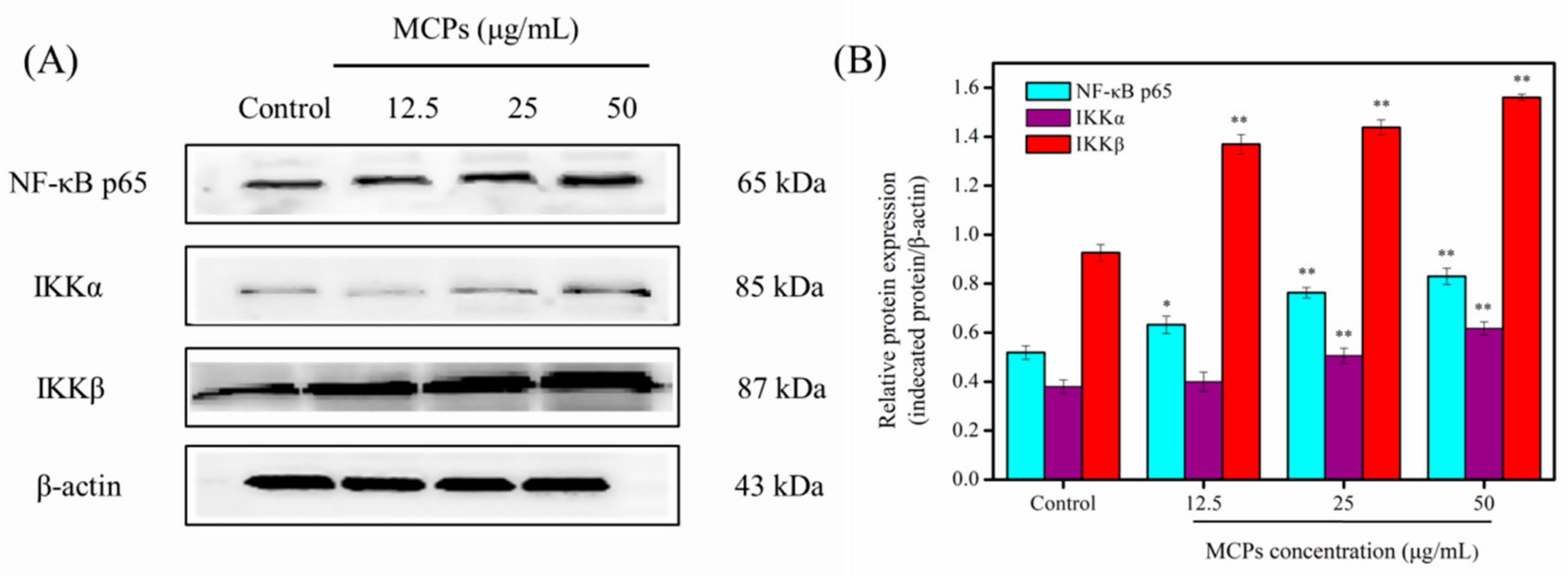 Molecules 24 04201 g006