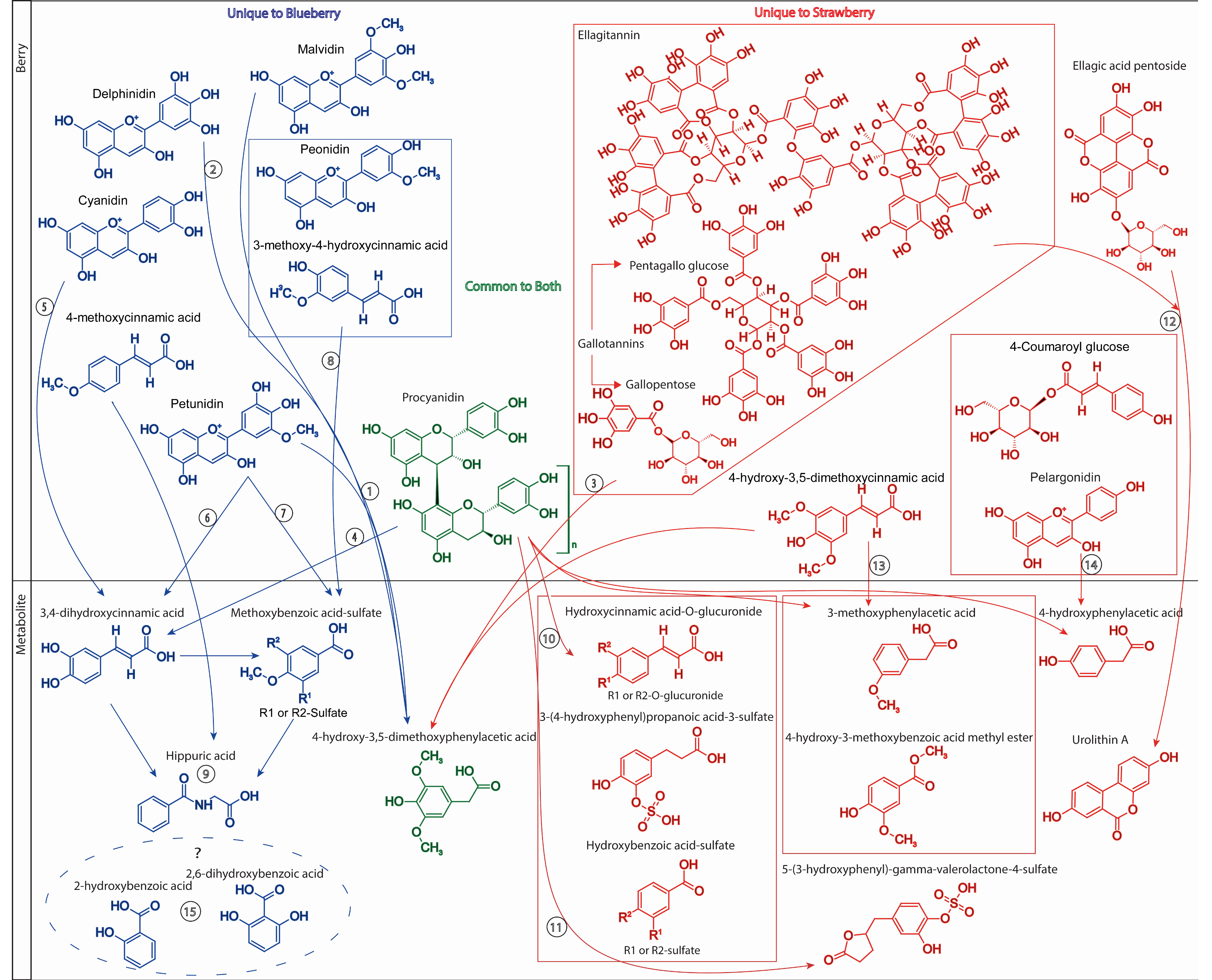 Molecules 24 04220 g007 Molecules 24 04220 g007