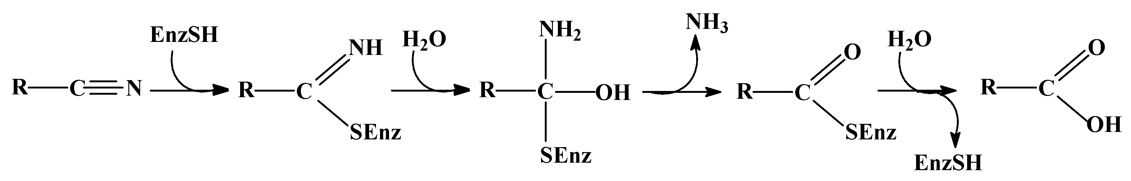 Molecules 24 04232 g001
