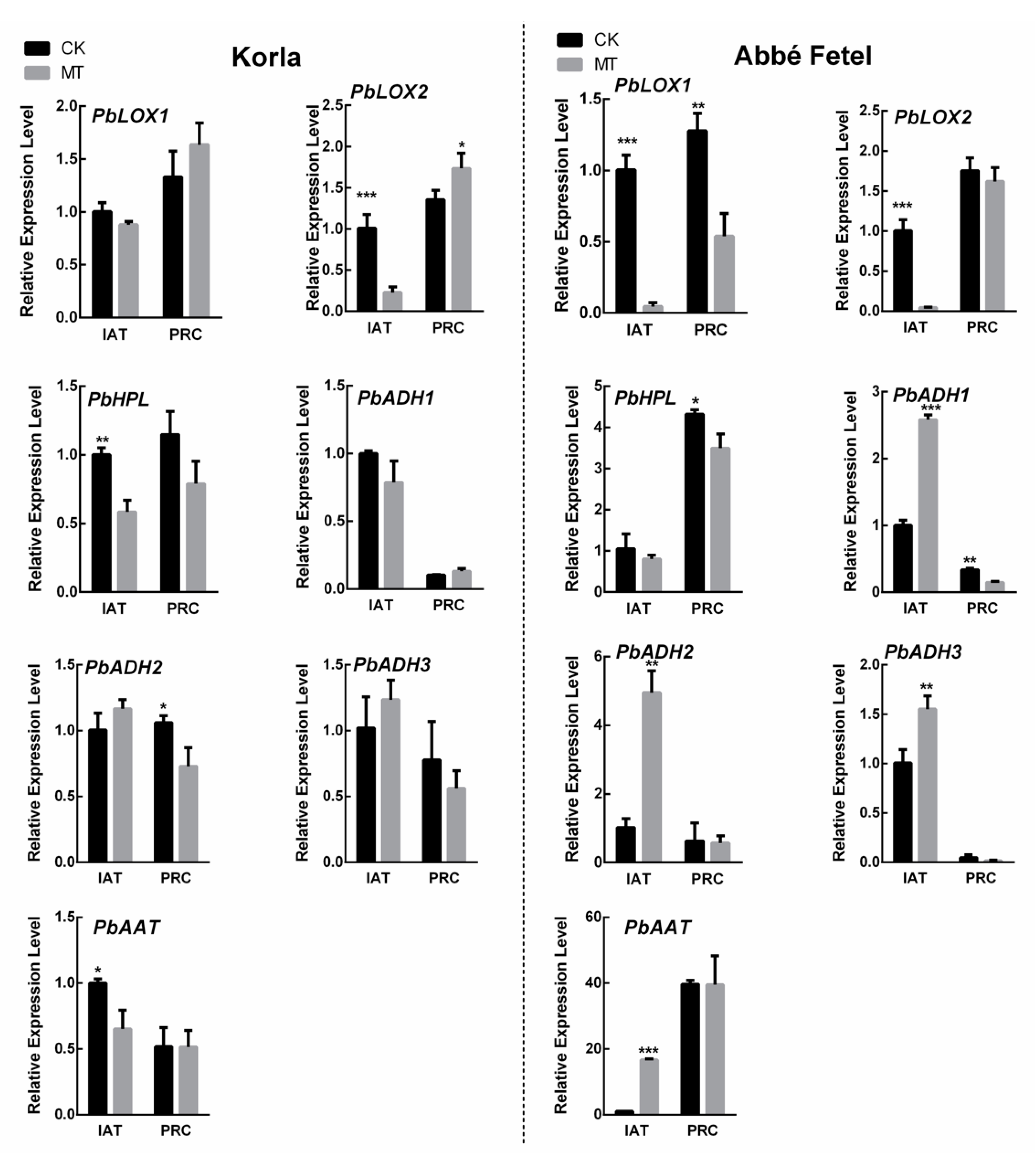 Molecules 24 04233 g005