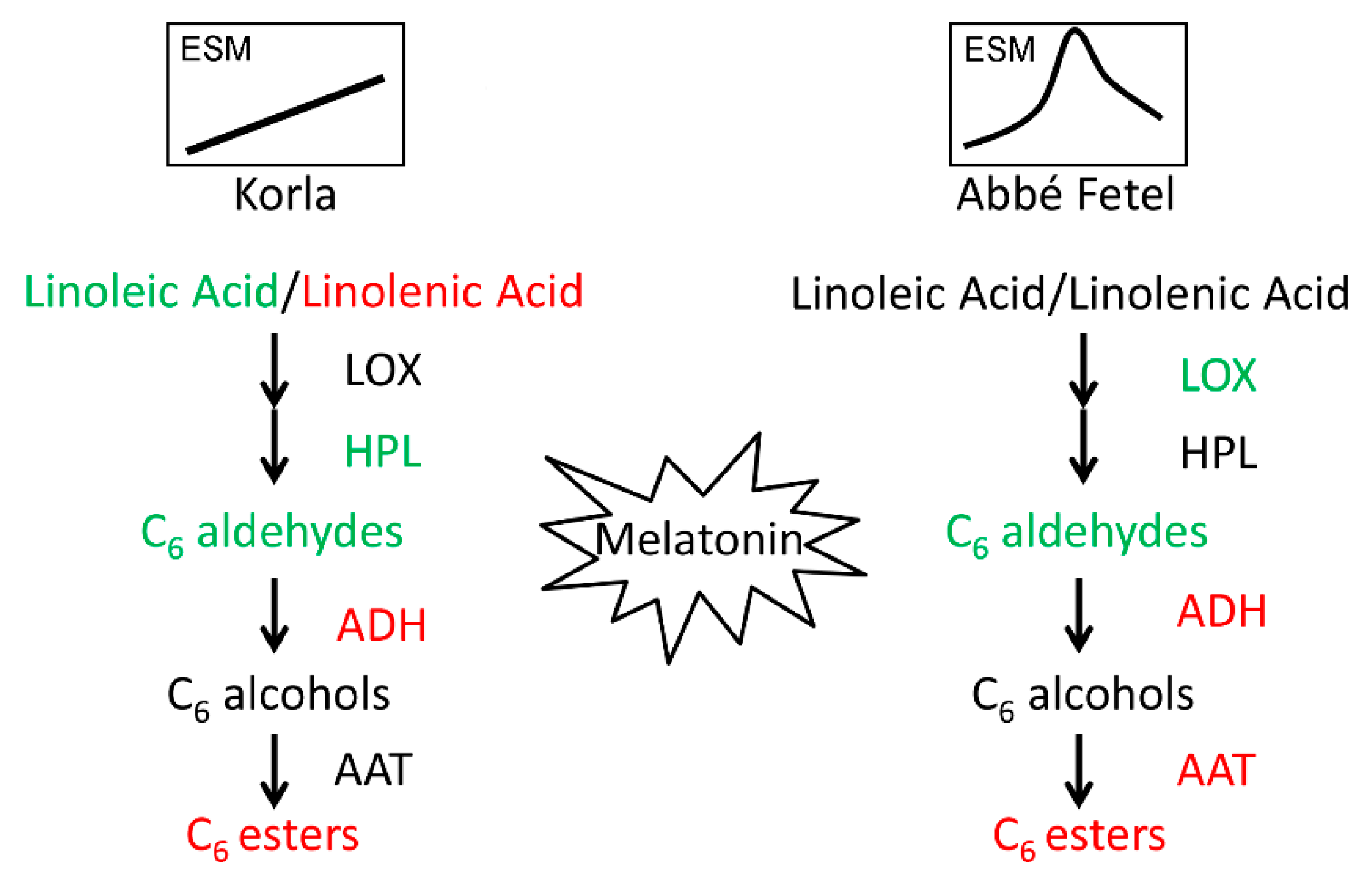 Molecules 24 04233 g006