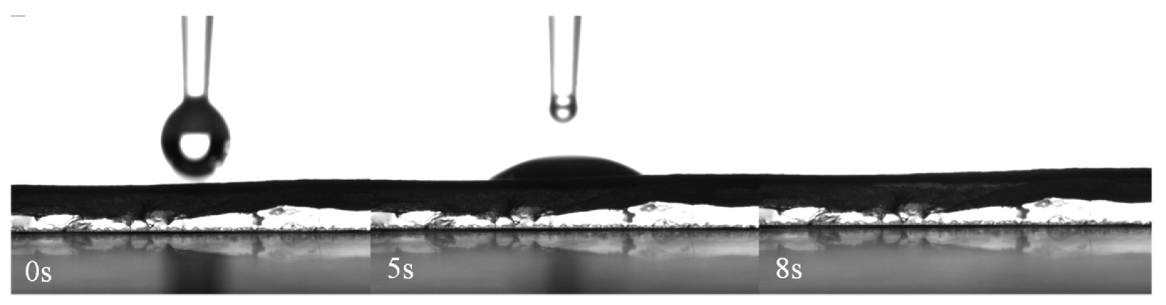 Molecules 24 04243 g004