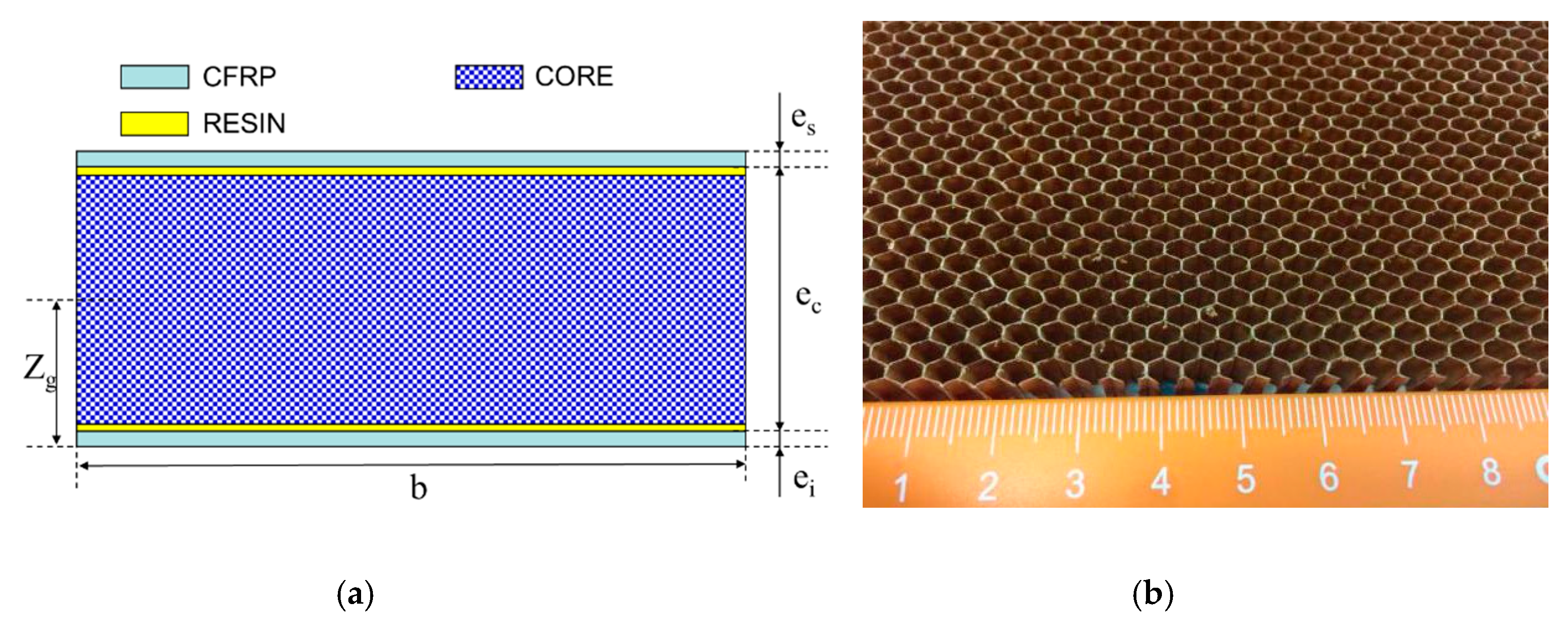 Molecules 24 04248 g001