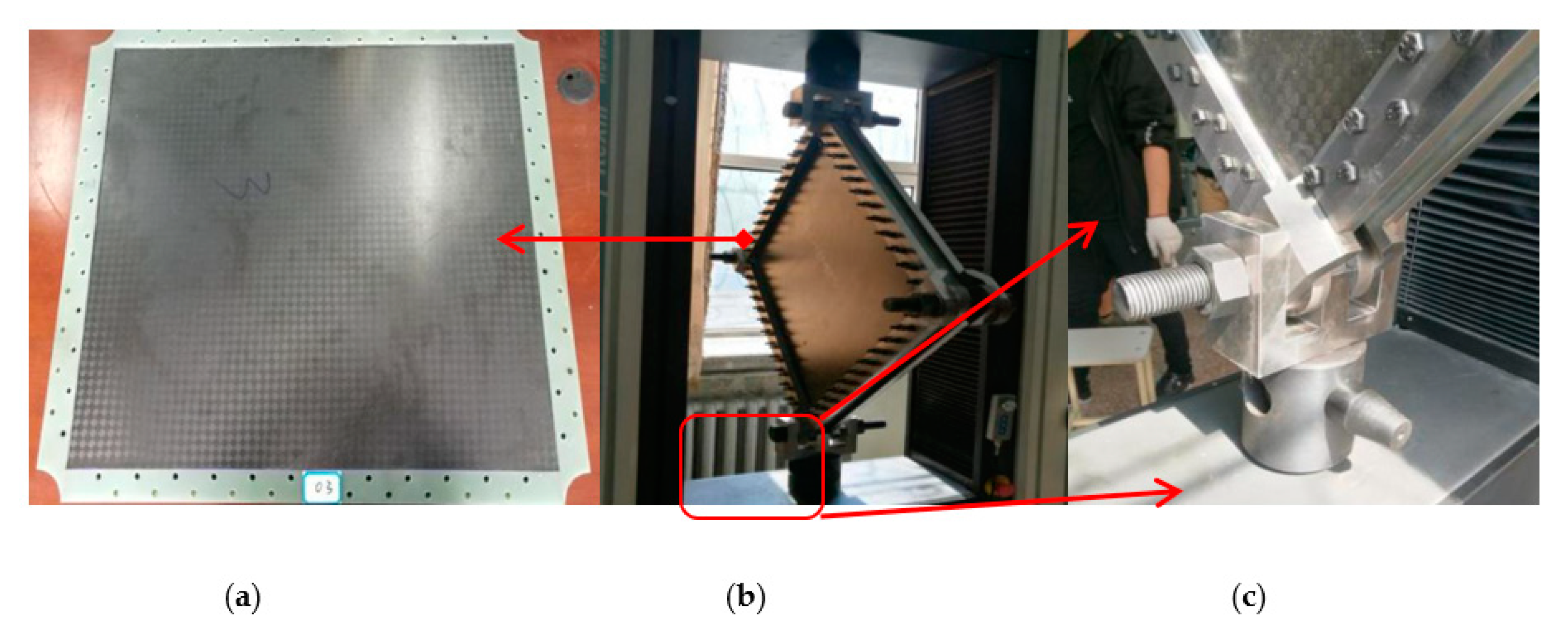 Molecules 24 04248 g003