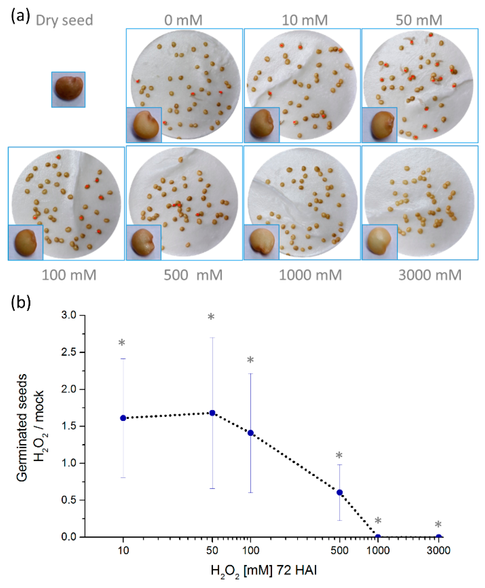 Molecules 24 04270 g001 Molecules 24 04270 g001