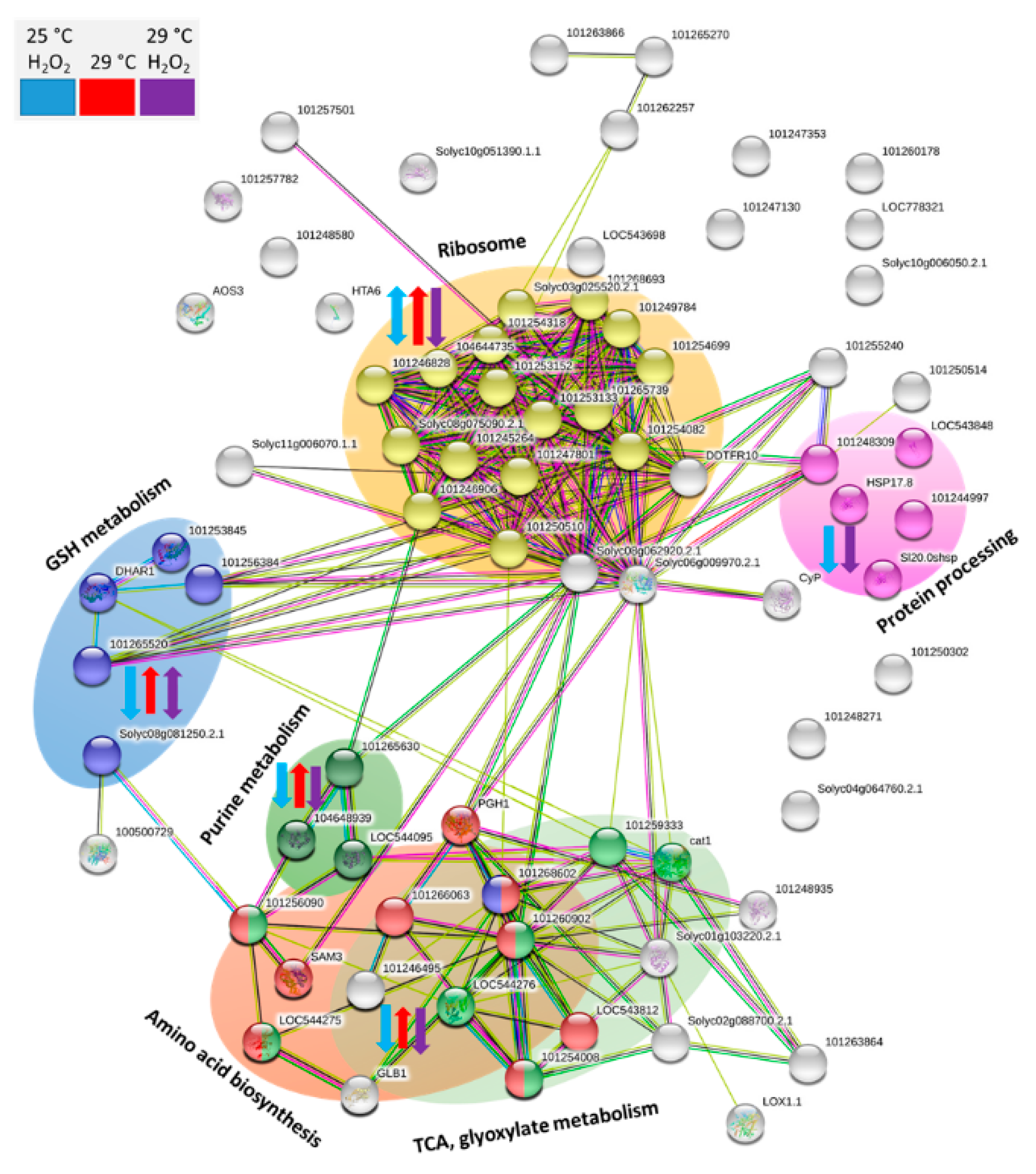 Molecules 24 04270 g006 Molecules 24 04270 g006