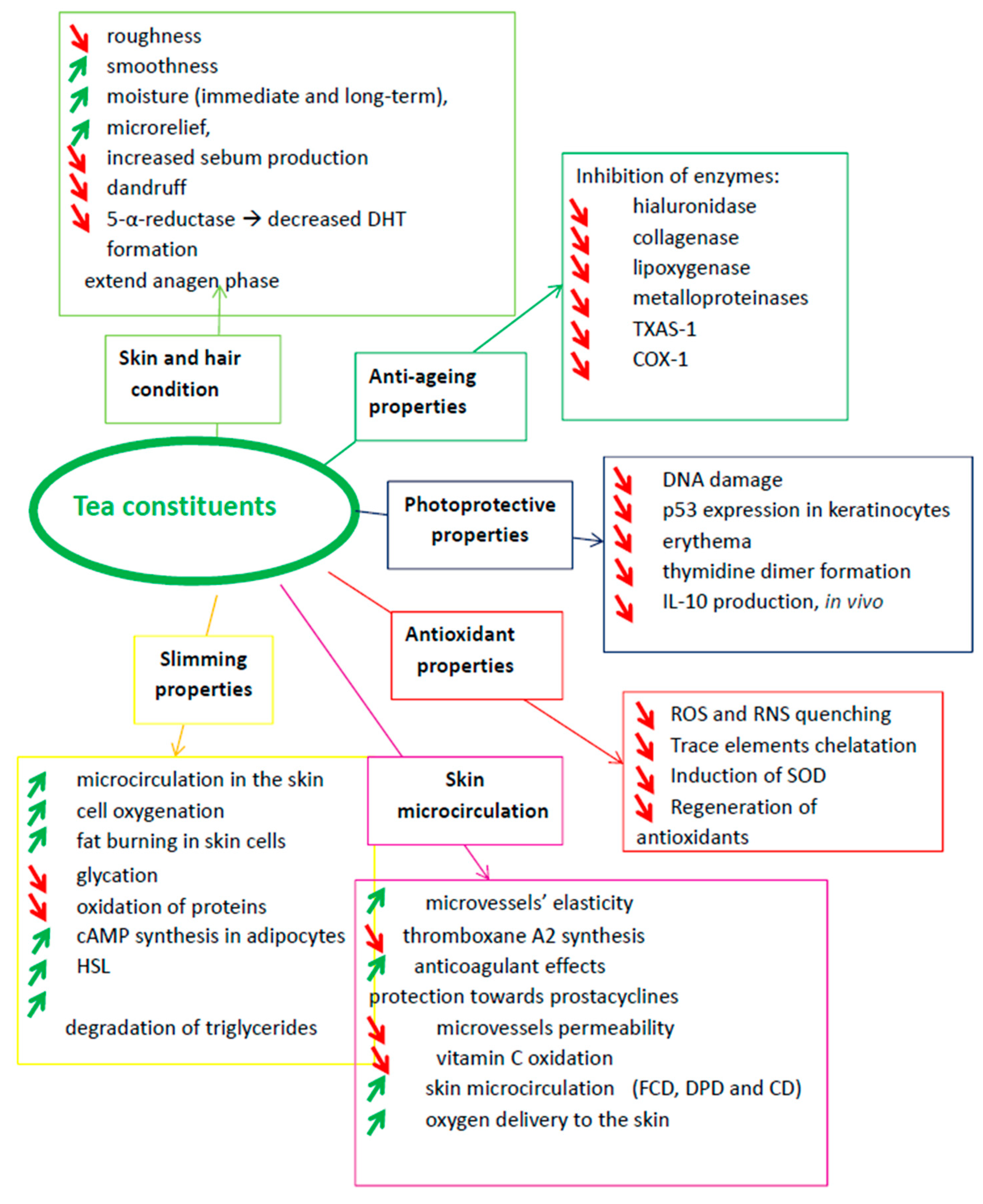 Molecules 24 04277 g002