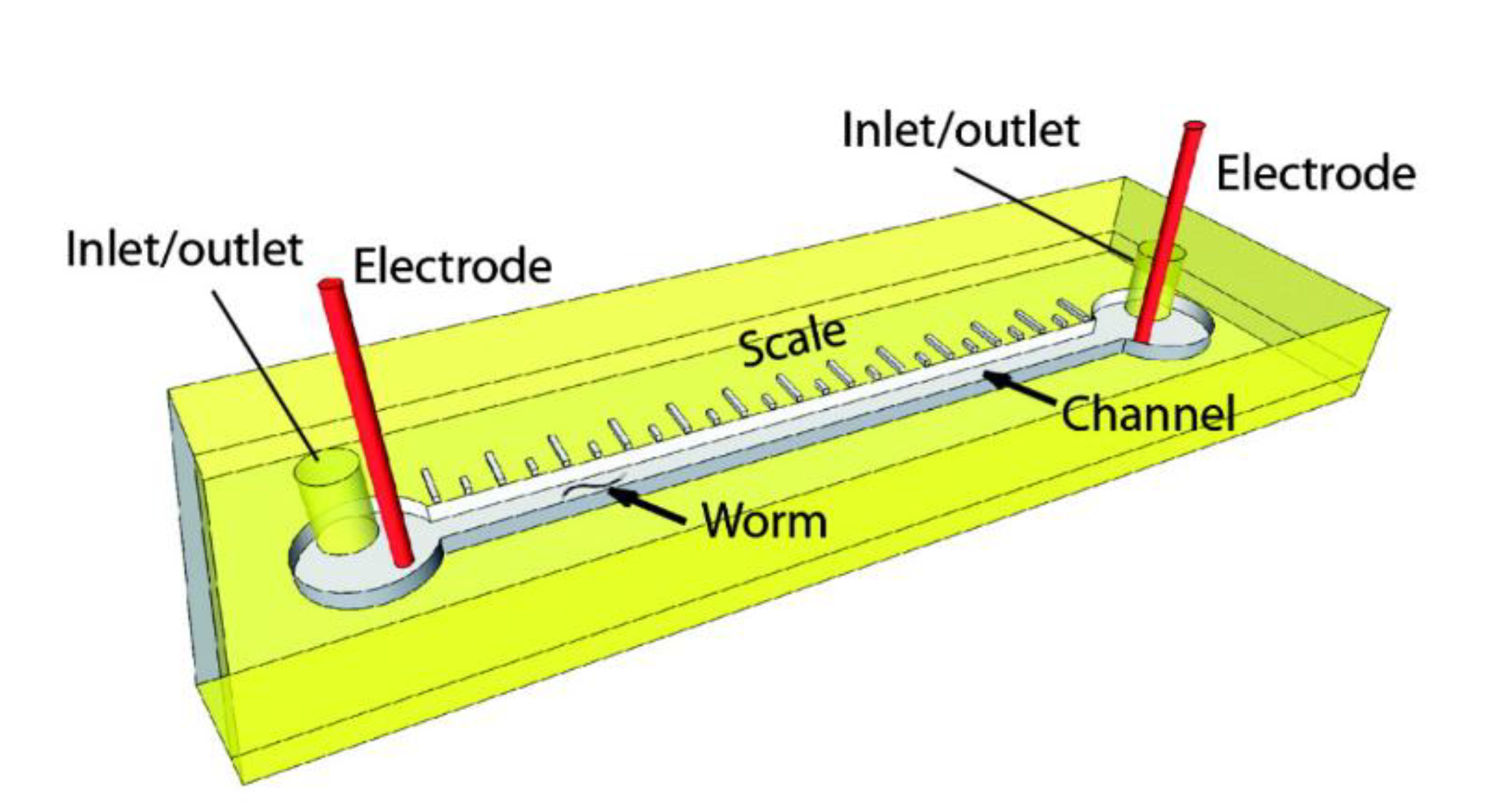 Molecules 24 04292 g006