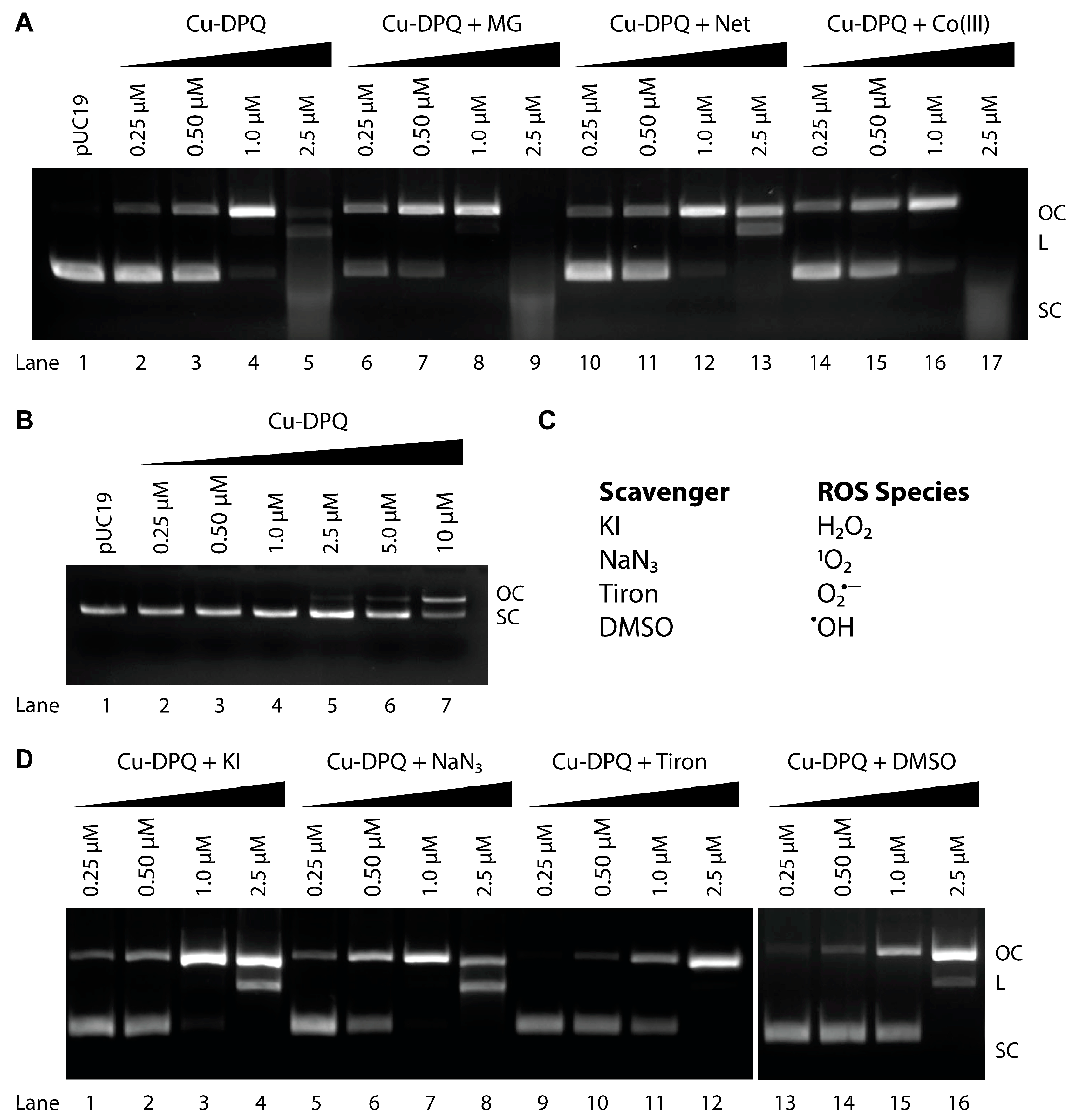 Molecules 24 04301 g004 Molecules 24 04301 g004