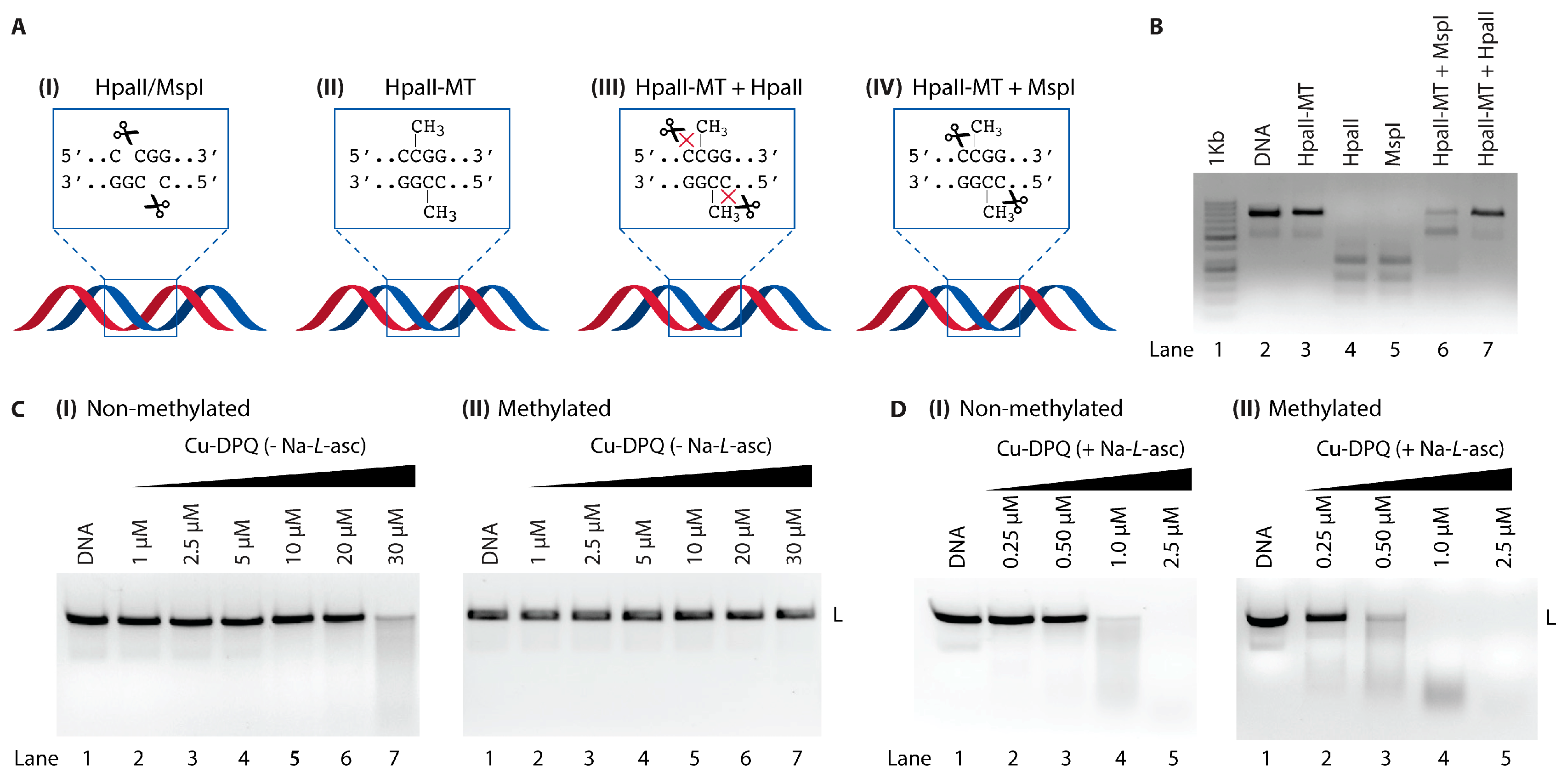 Molecules 24 04301 g005 Molecules 24 04301 g005