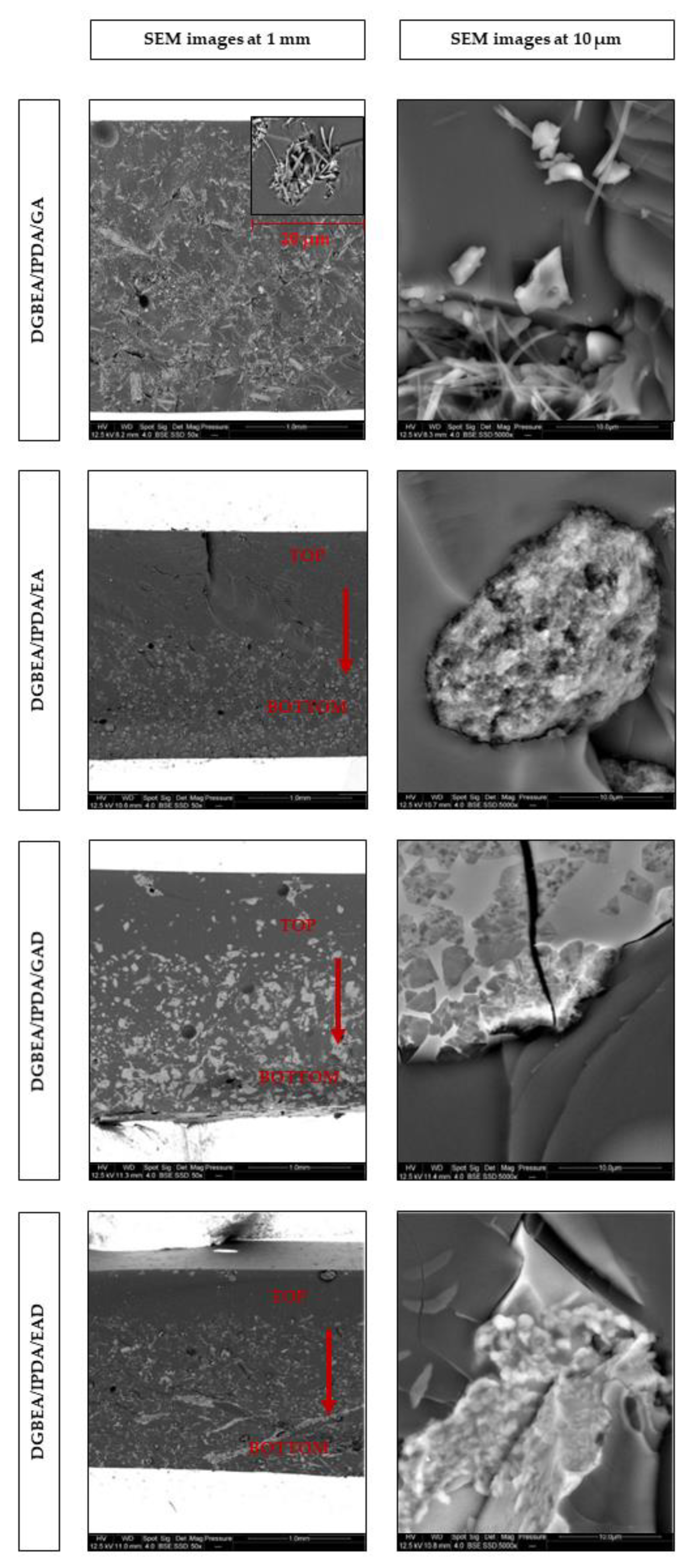 Molecules 24 04305 g009