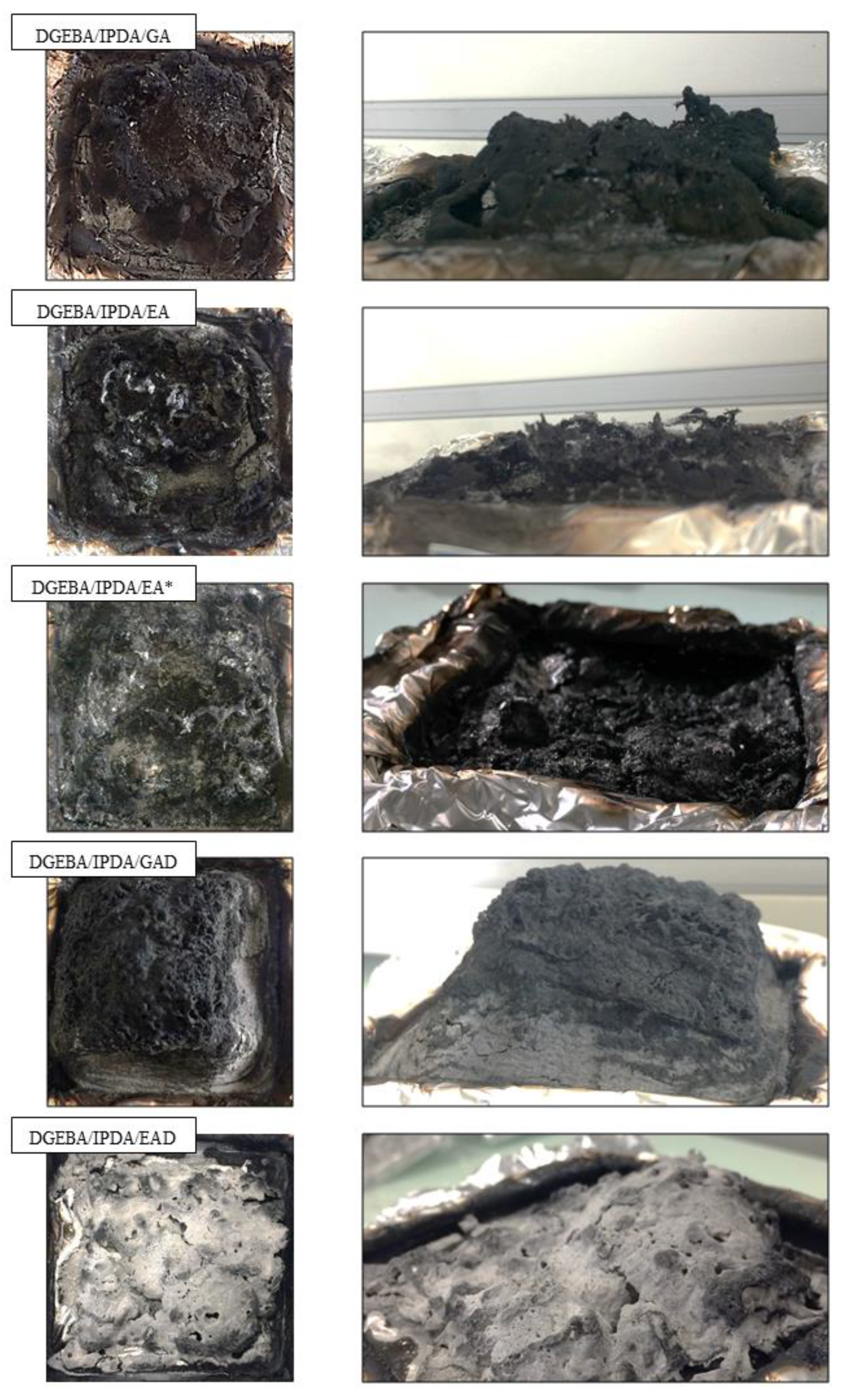 Molecules 24 04305 g015