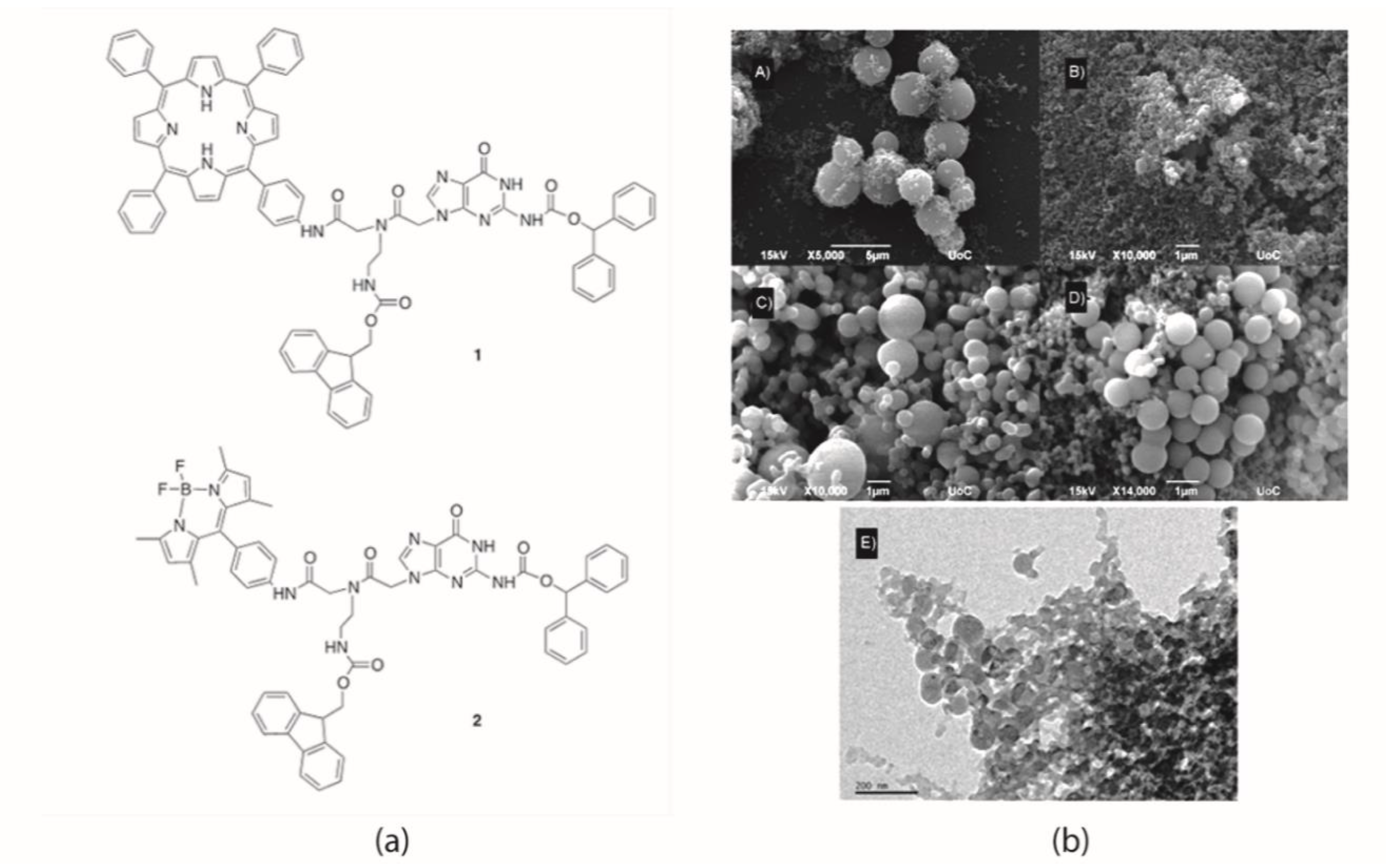 Molecules 24 04307 g001 Molecules 24 04307 g001