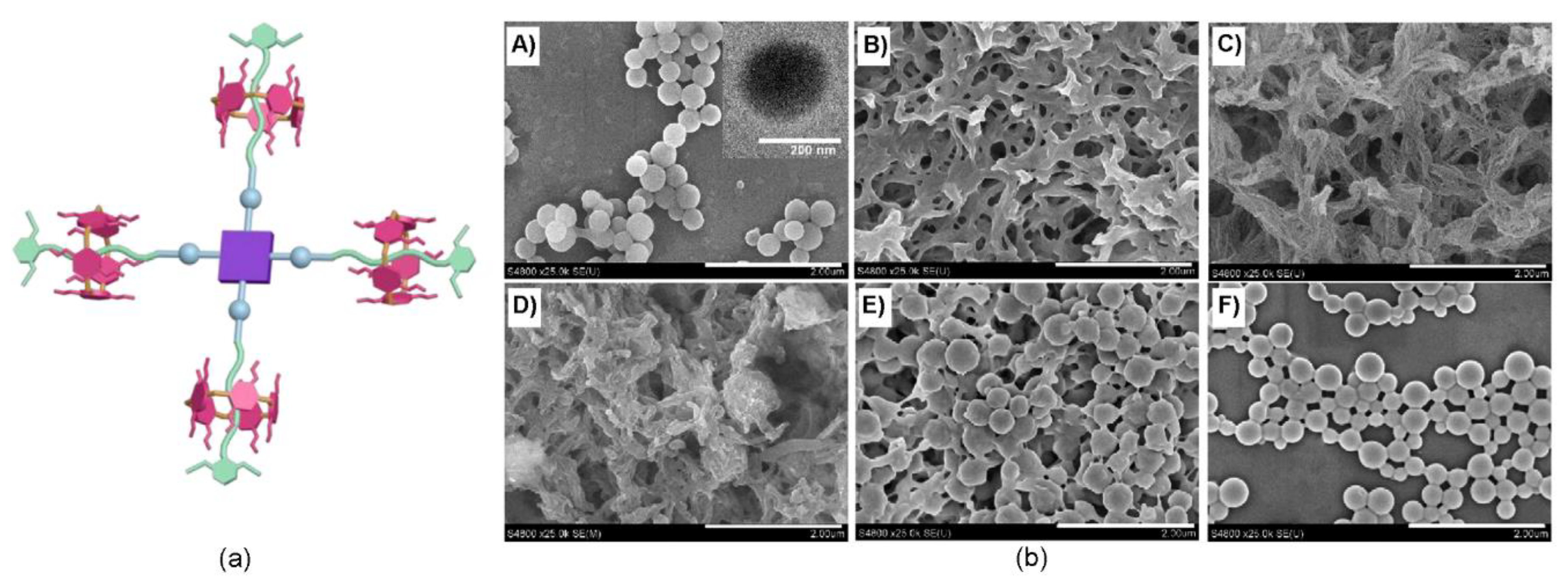 Molecules 24 04307 g005 Molecules 24 04307 g005