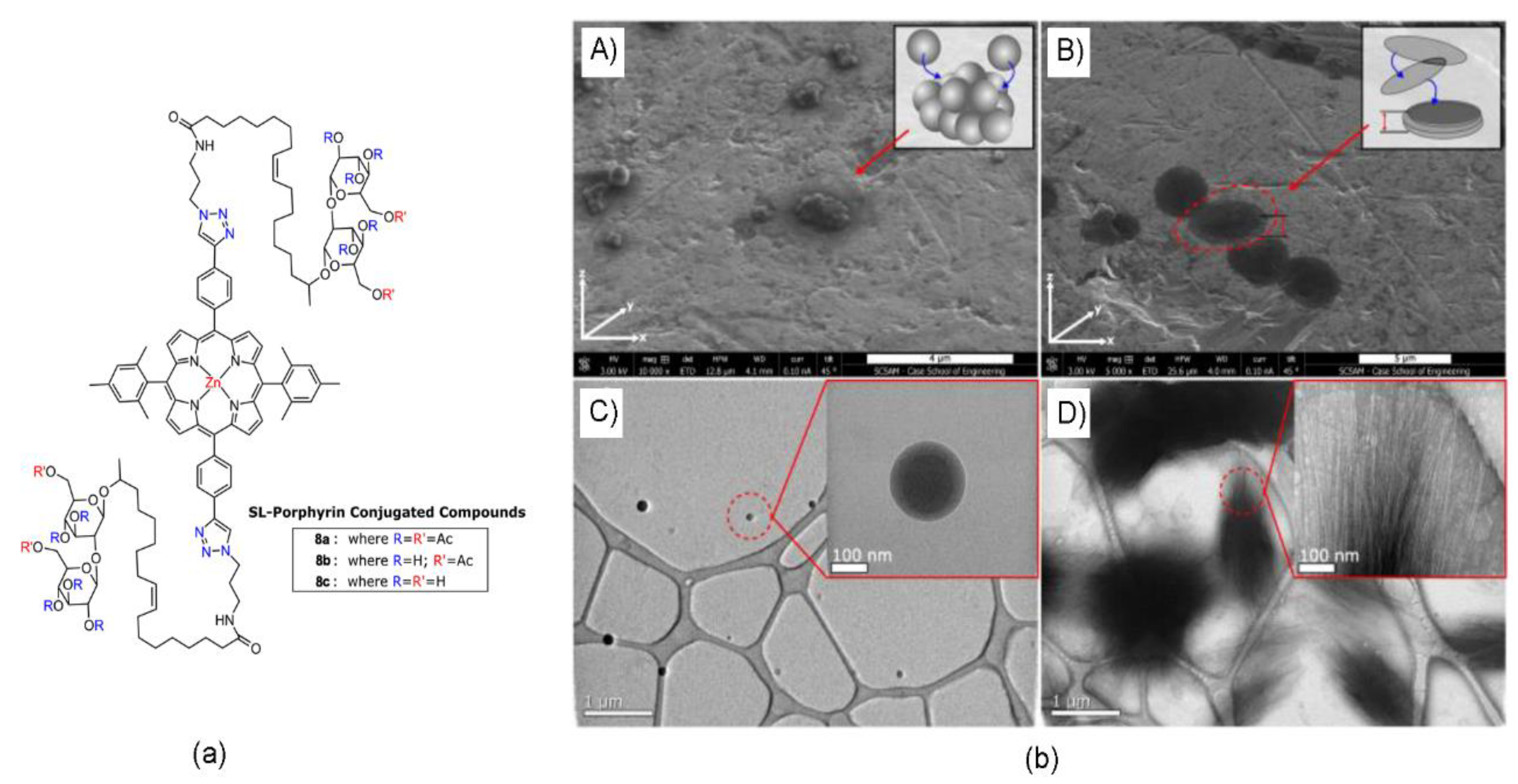 Molecules 24 04307 g007 Molecules 24 04307 g007