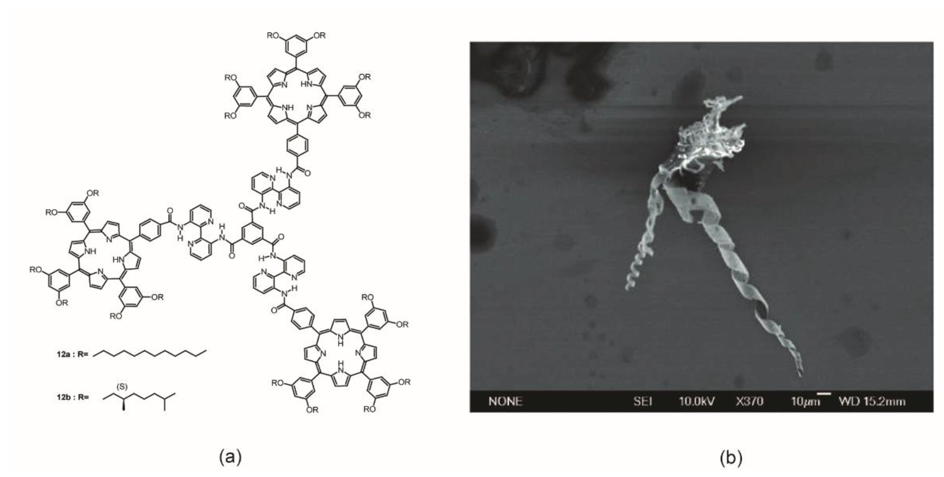 Molecules 24 04307 g010 Molecules 24 04307 g010