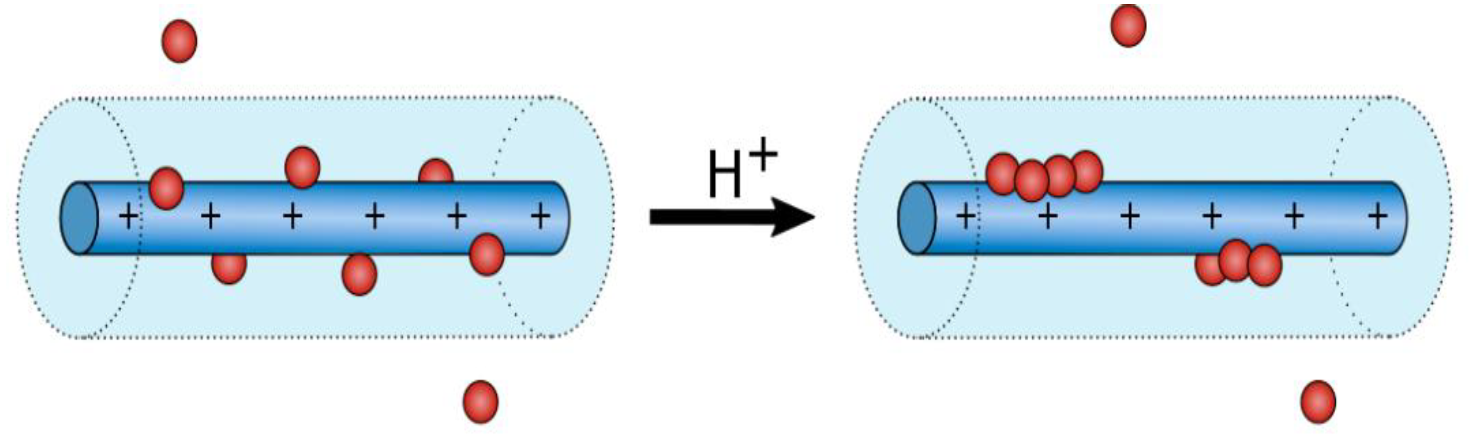 Molecules 24 04307 g017 Molecules 24 04307 g017