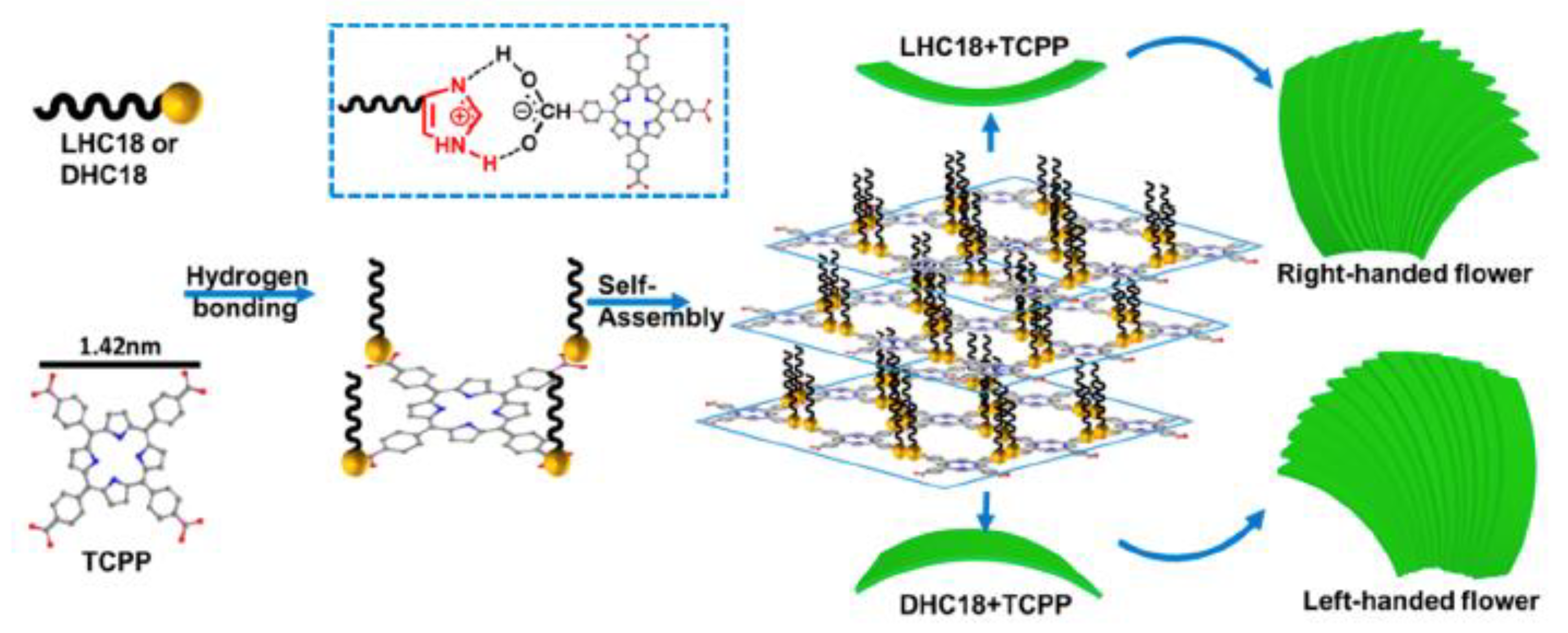 Molecules 24 04307 g019 Molecules 24 04307 g019