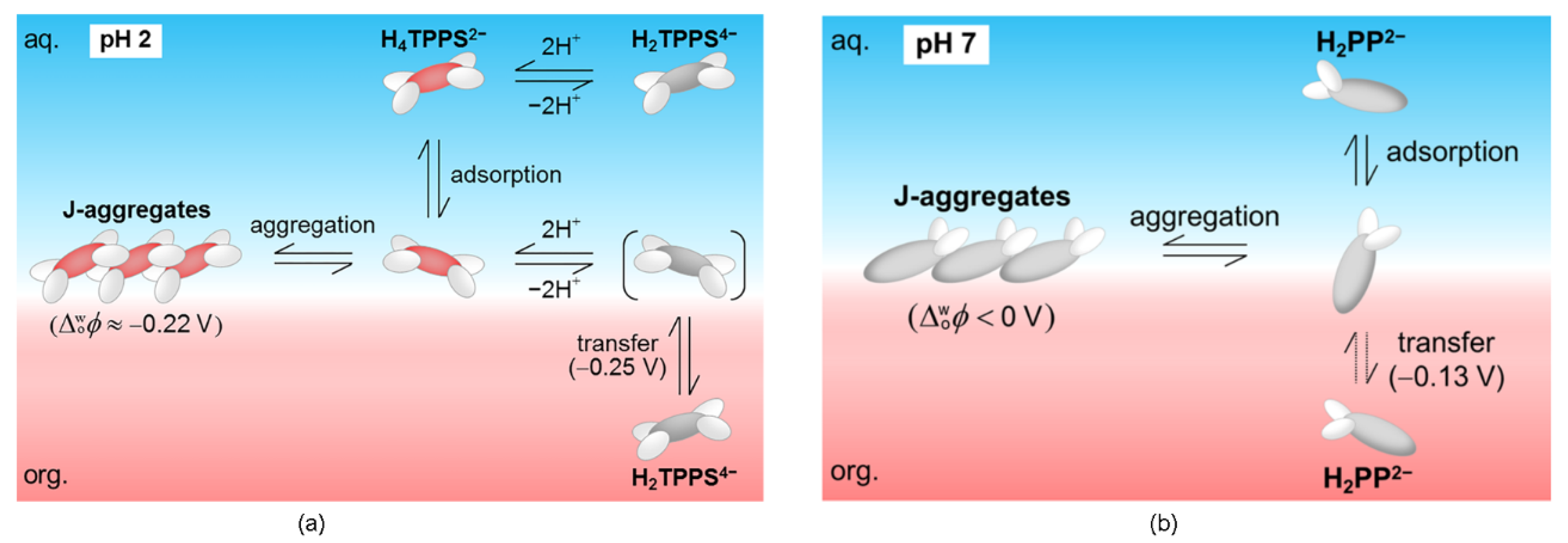 Molecules 24 04307 g021 Molecules 24 04307 g021