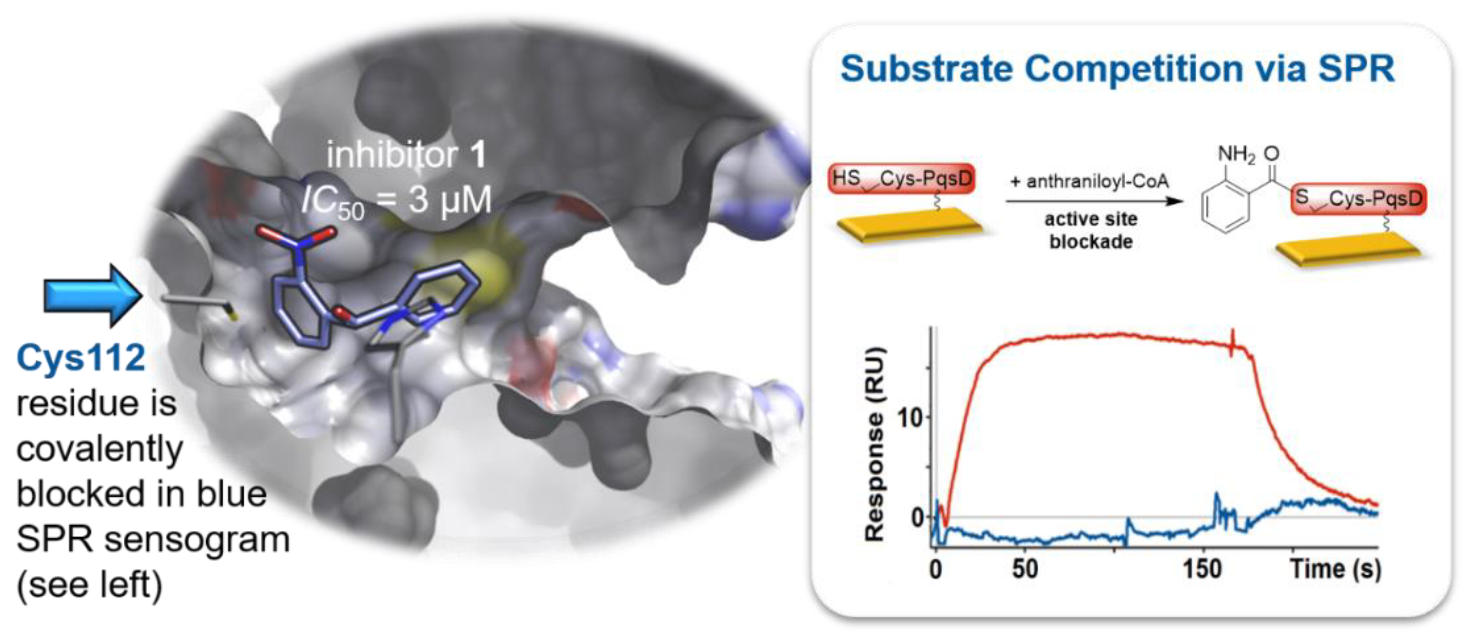Molecules 24 04309 g001 Molecules 24 04309 g001
