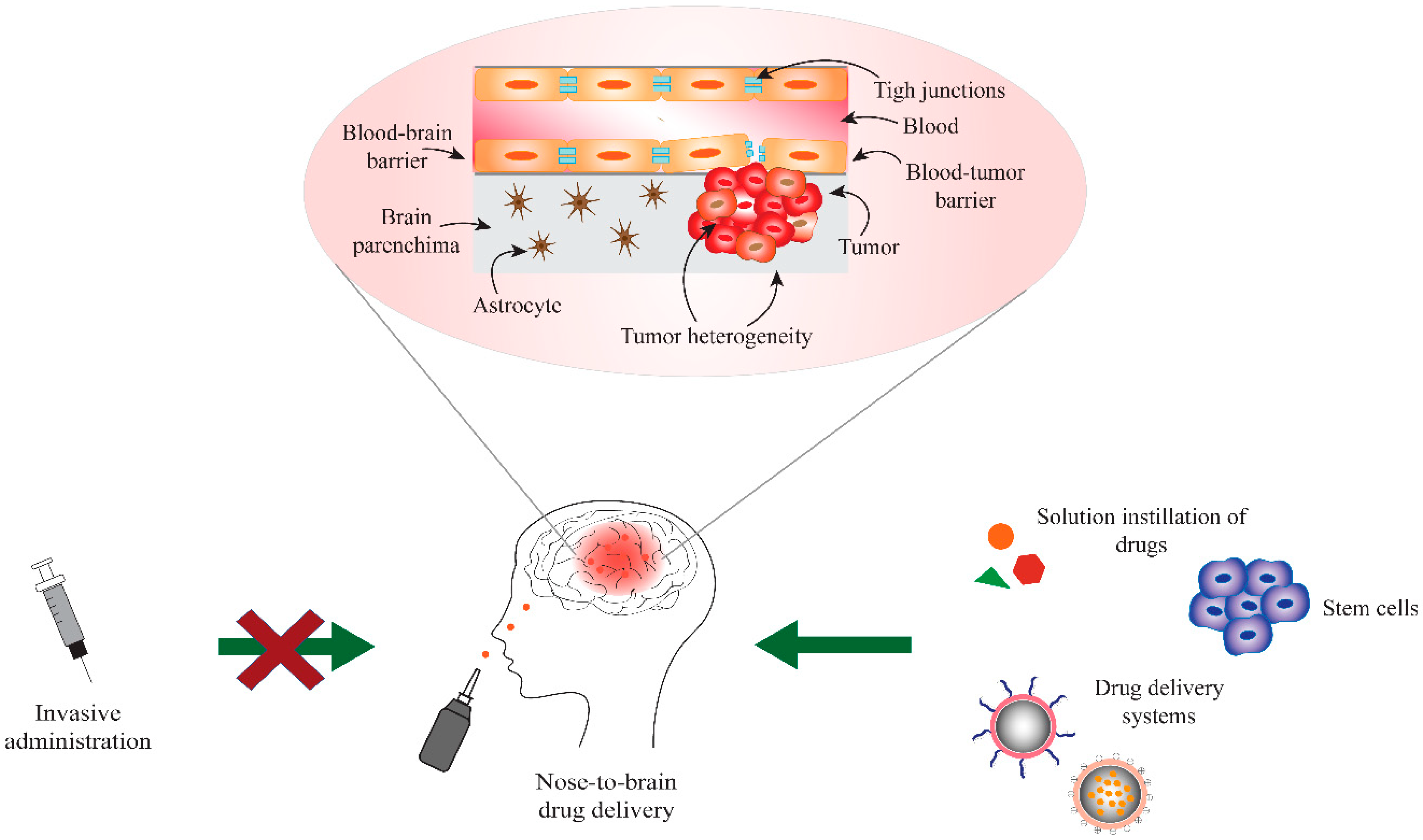 Molecules 24 04312 g001