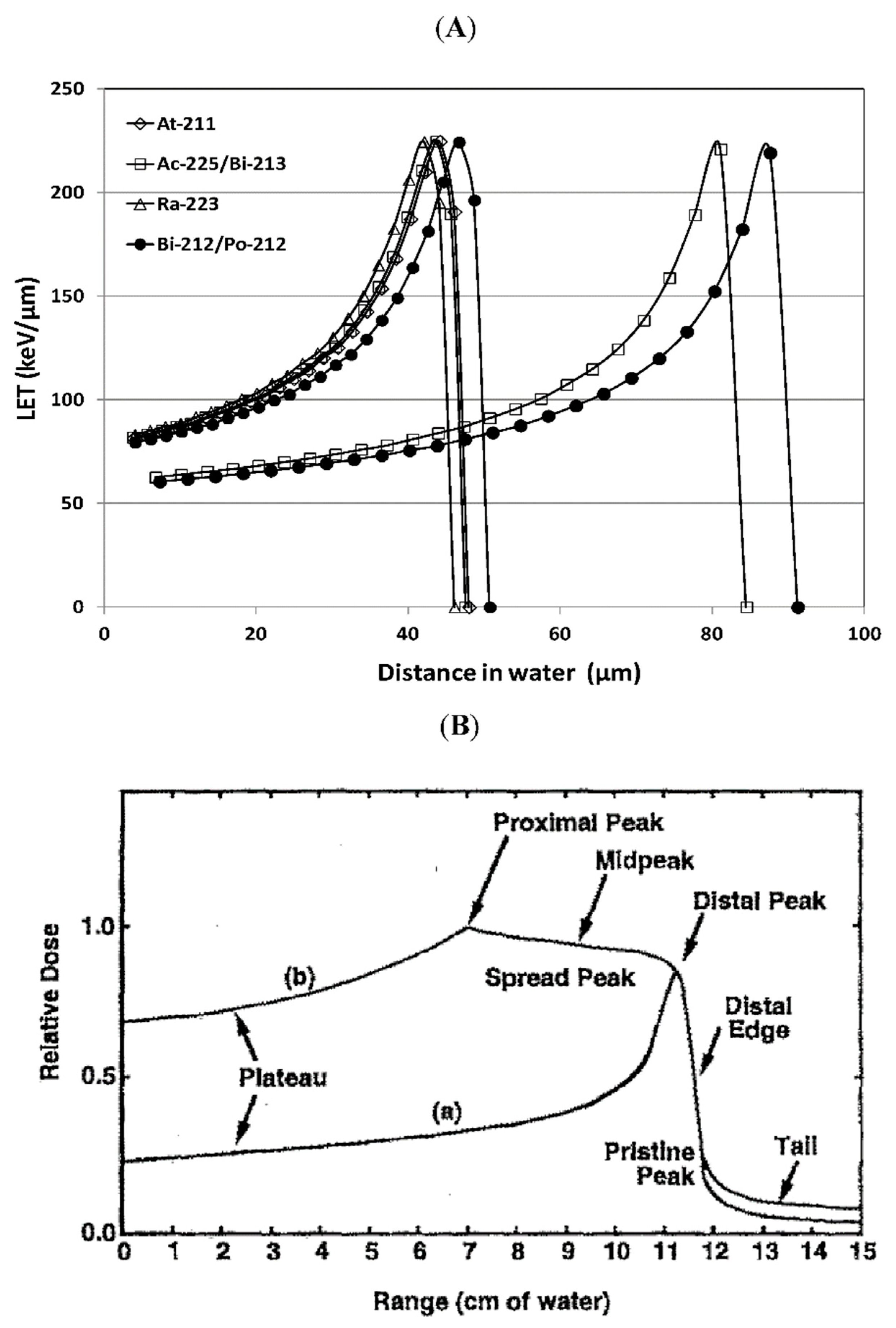 Molecules 24 04314 g002
