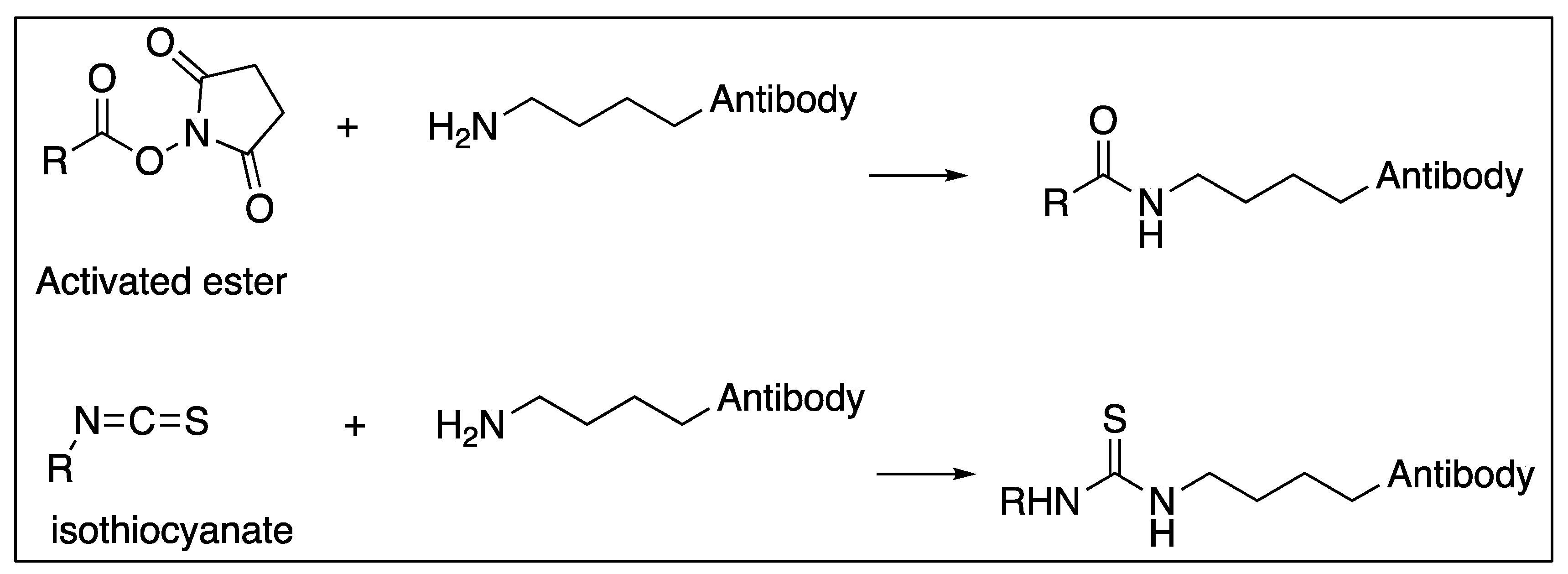Molecules 24 04314 g006