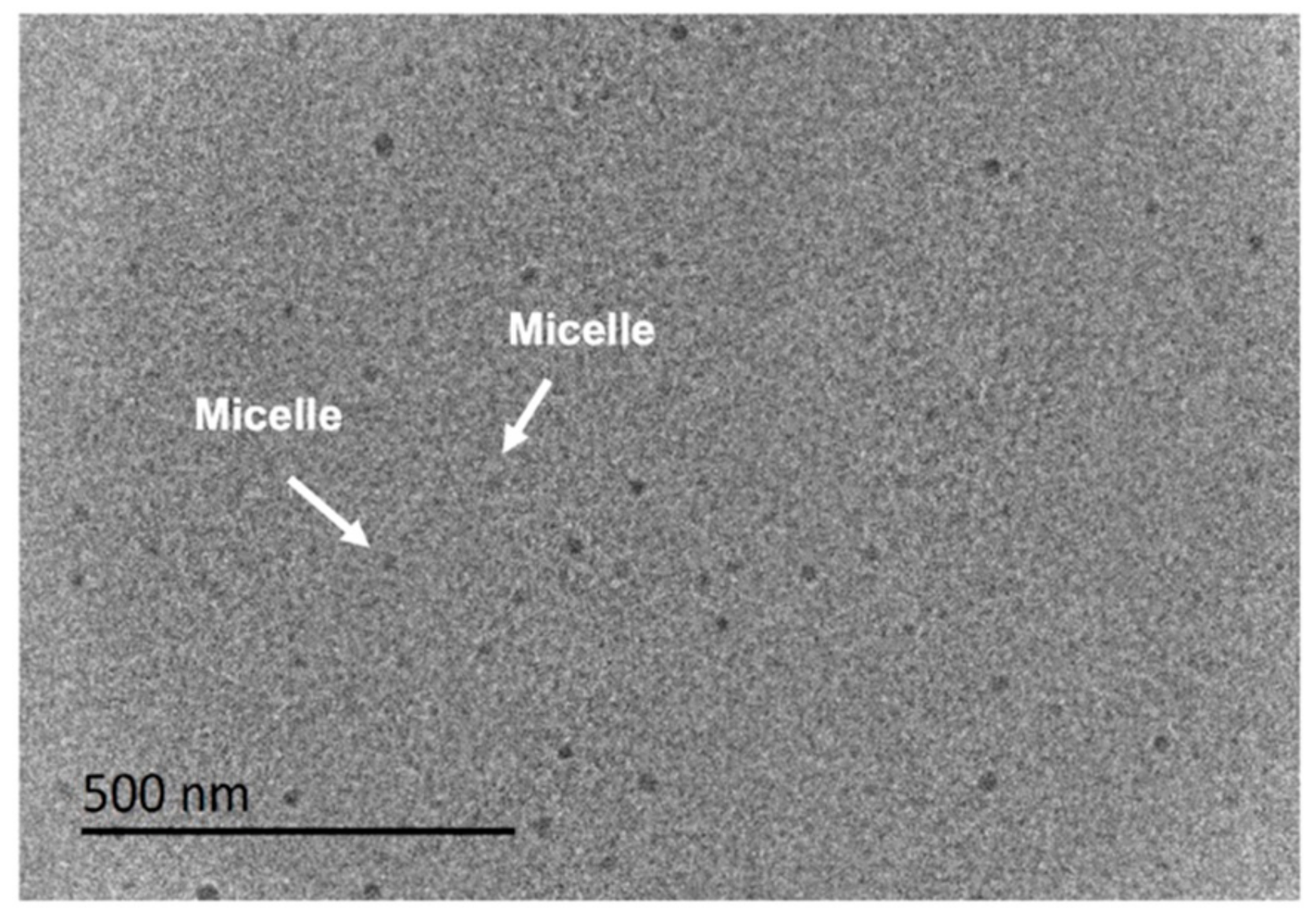 Molecules 24 04325 g005