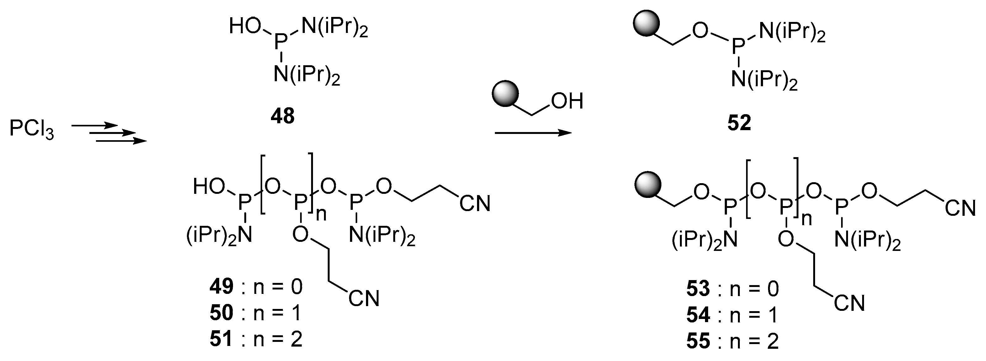 Molecules 24 04334 g006