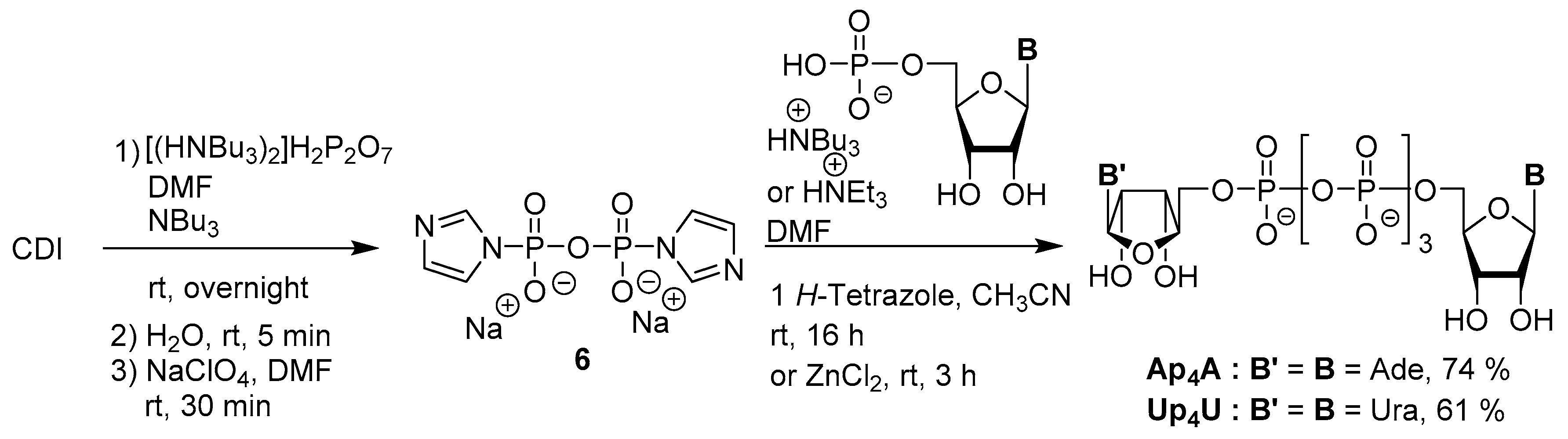 Molecules 24 04334 sch005