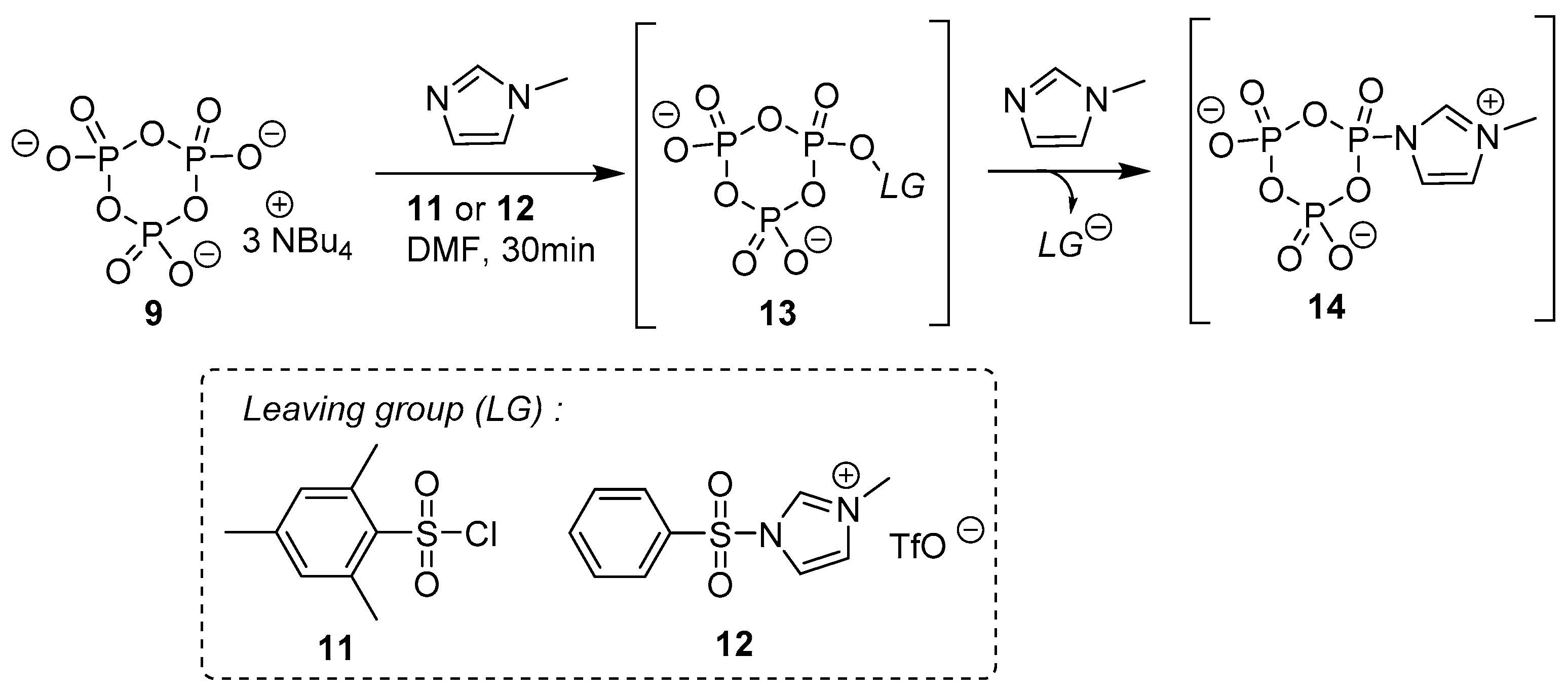 Molecules 24 04334 sch008