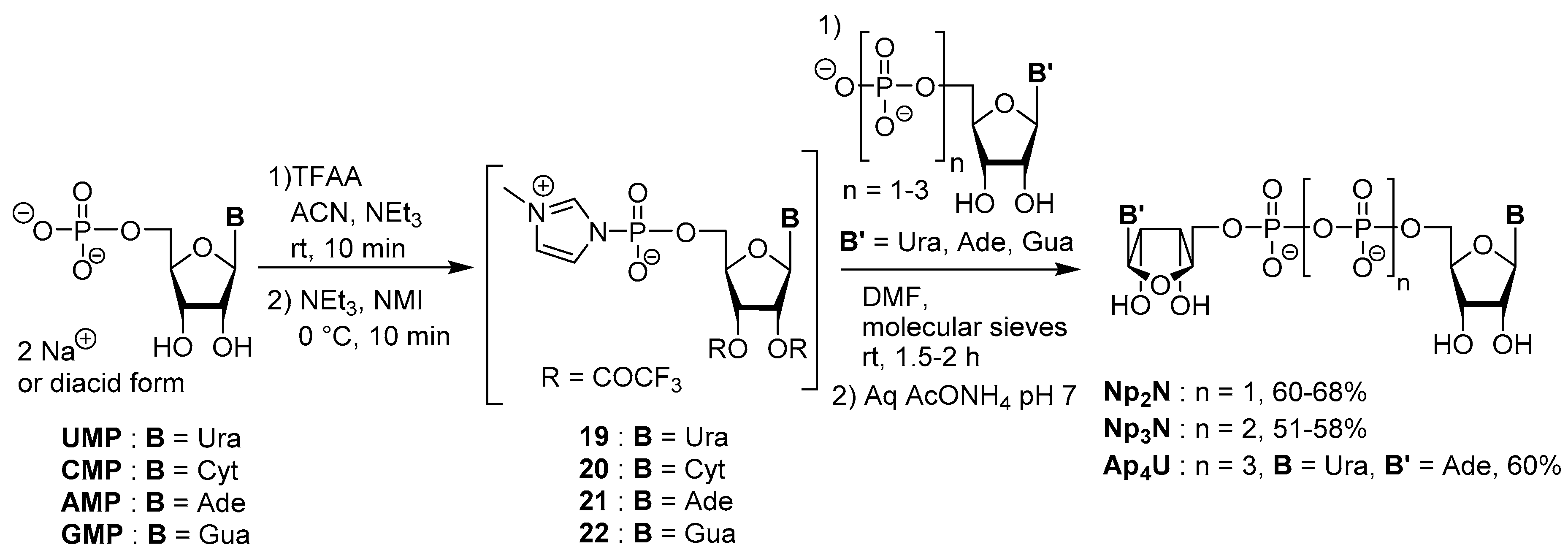 Molecules 24 04334 sch010