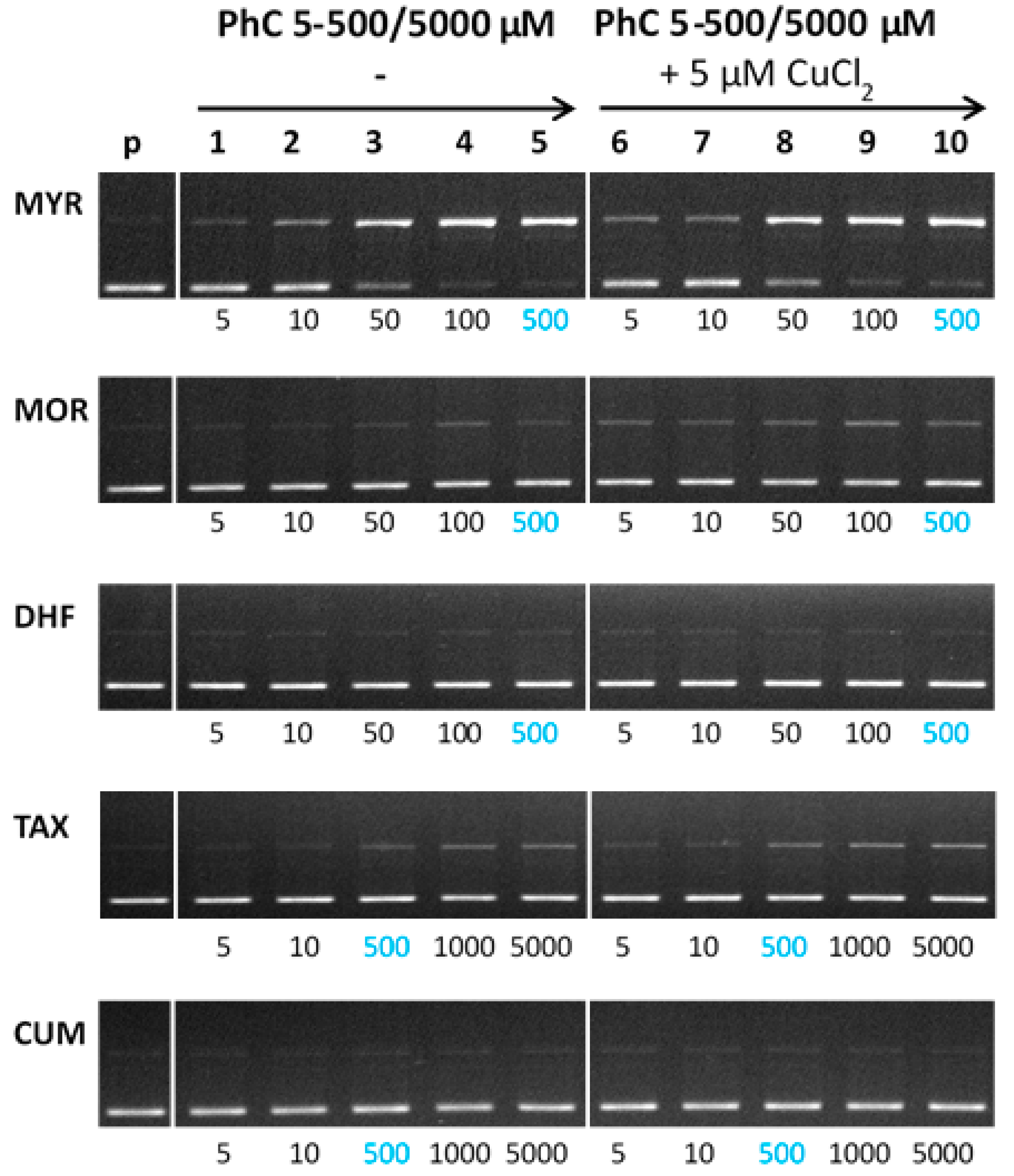 Molecules 24 04335 g008 Molecules 24 04335 g008