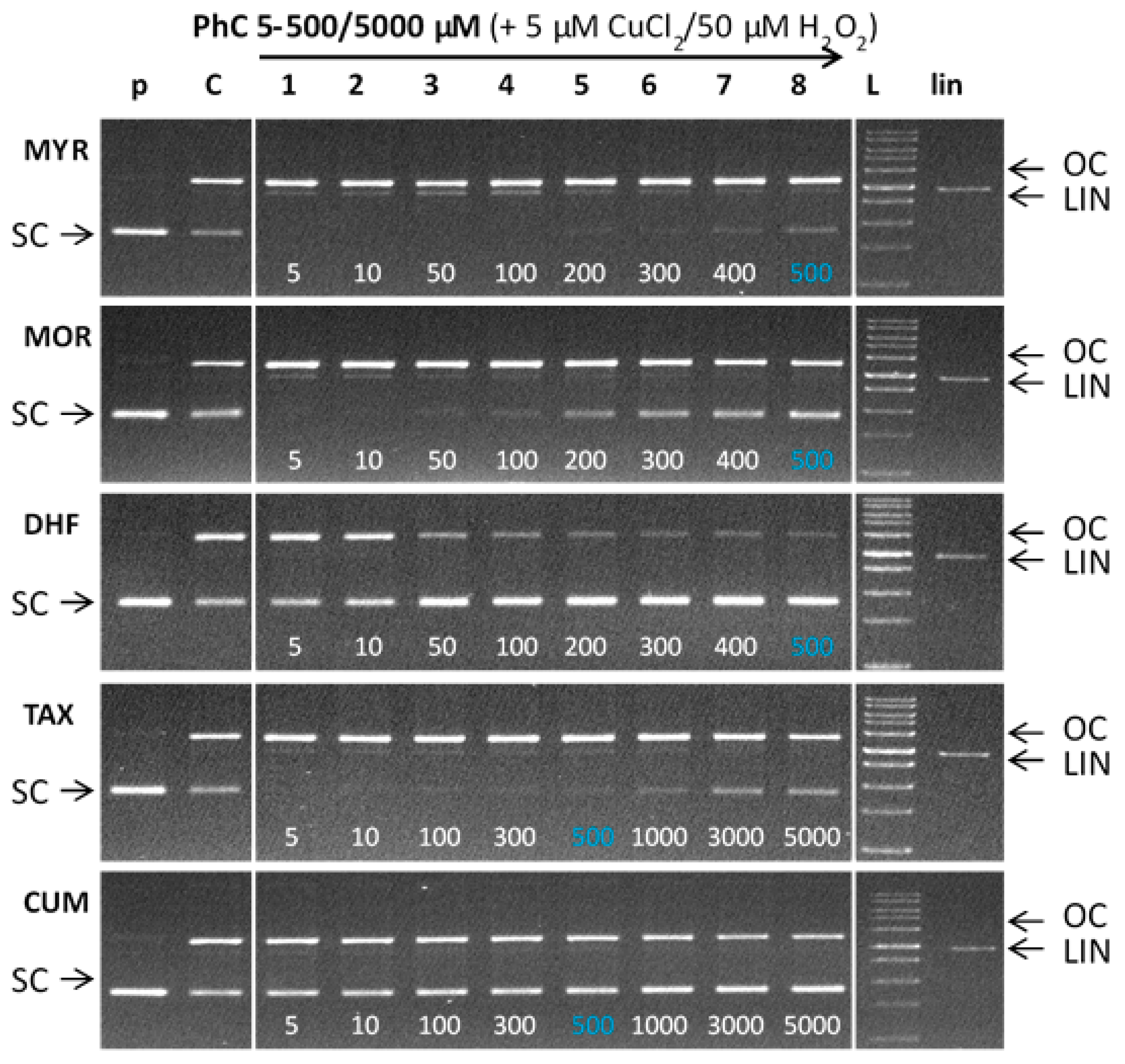 Molecules 24 04335 g009 Molecules 24 04335 g009